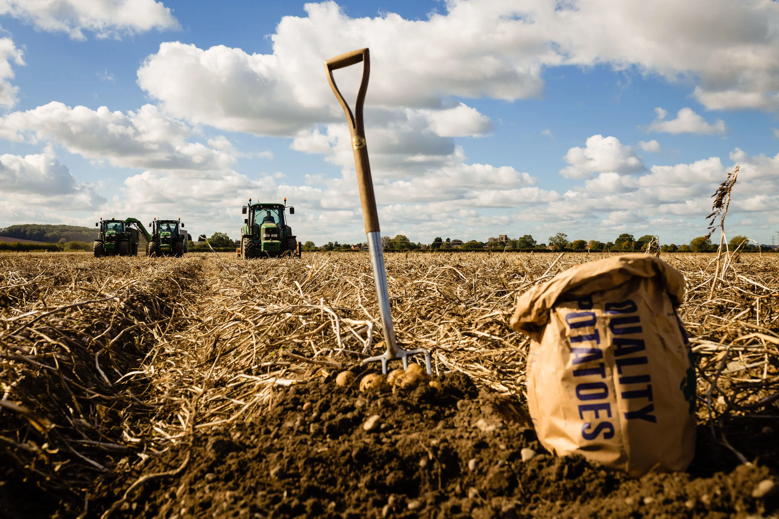 Tayto_Potato_Harvest_September2018-183.jpg