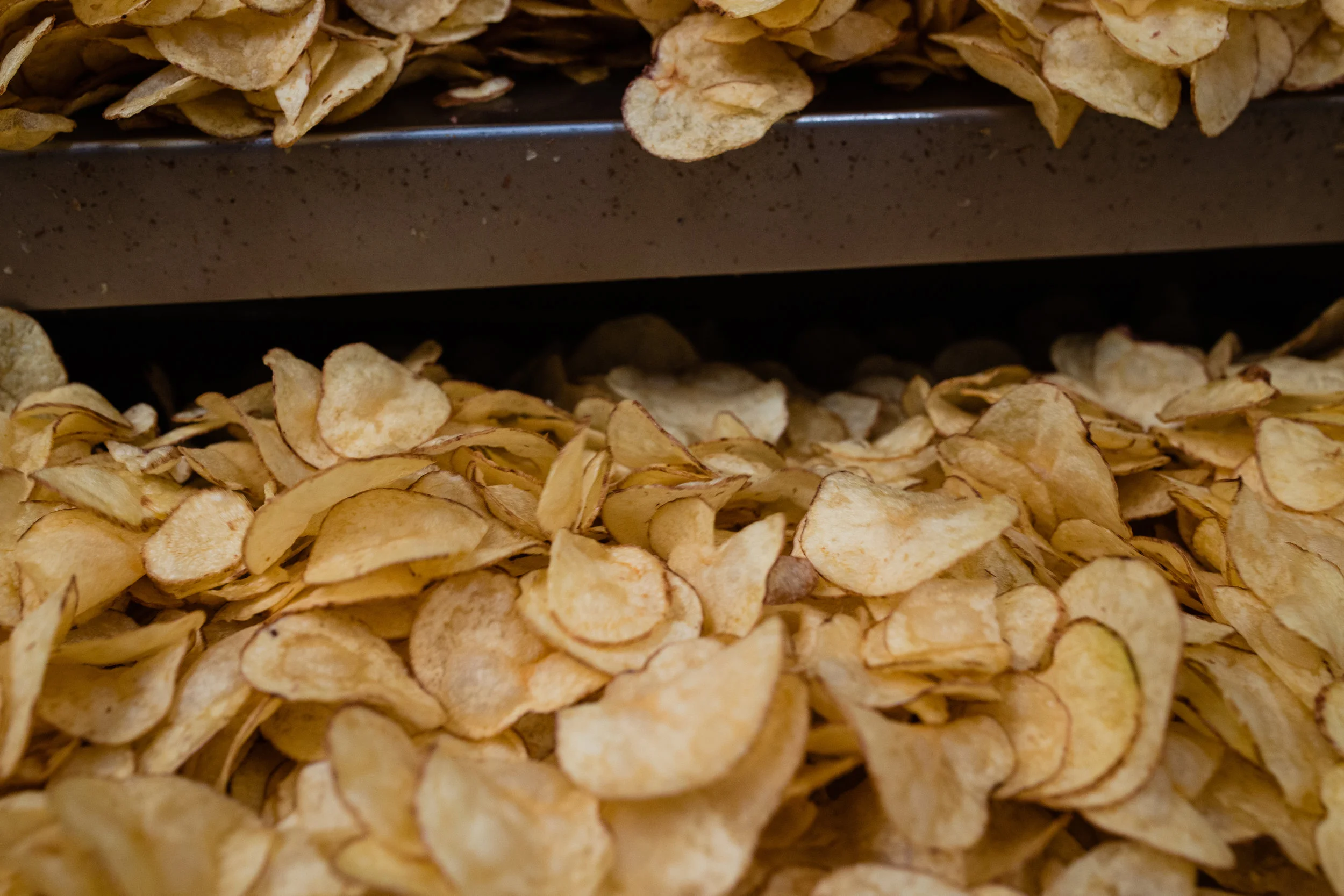 Golden_Wonder_Factory_October_2018-480.jpg