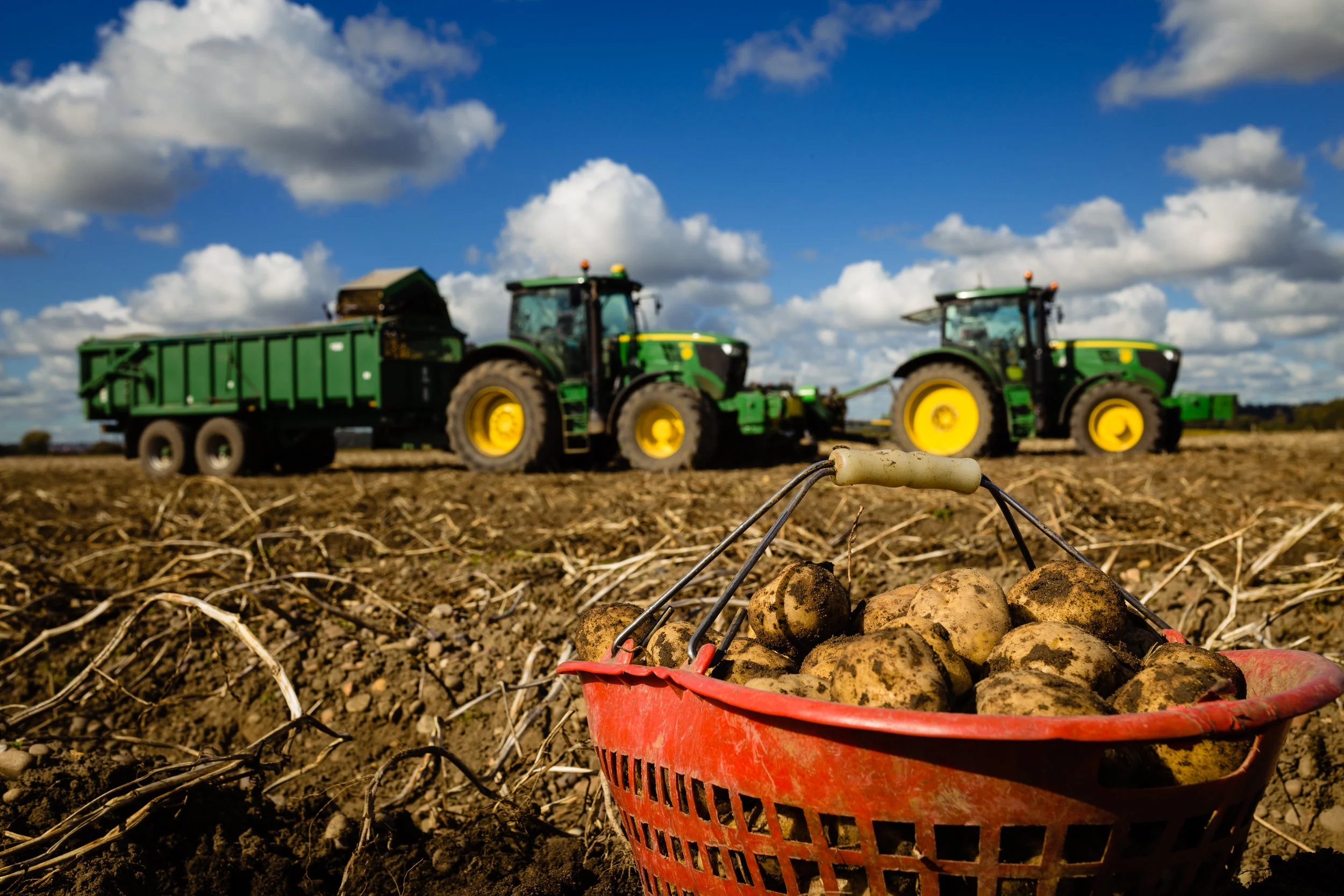 Tayto_Potato_Harvest_September2018-246.jpg