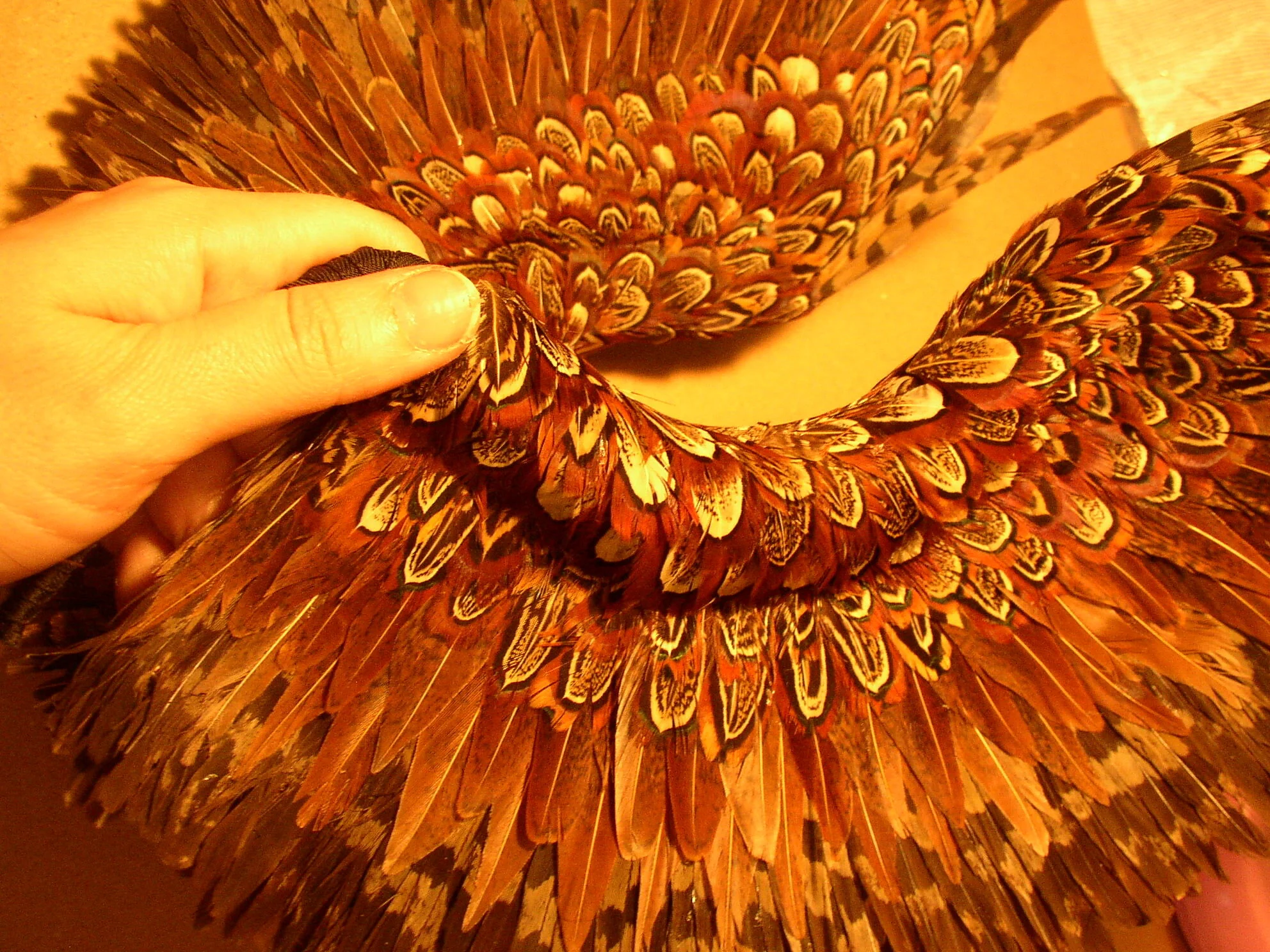 finished_wings_front_7.JPG