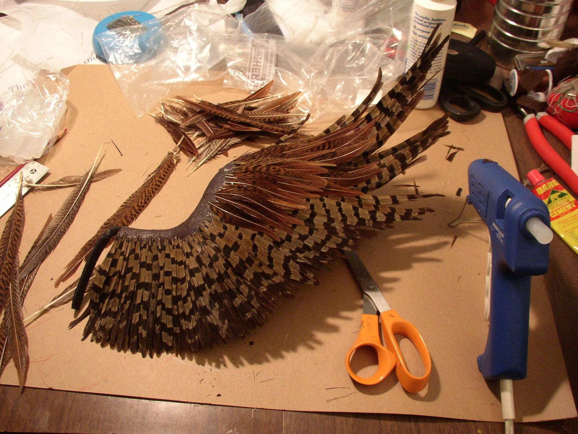 wing_back_feathering_2.JPG