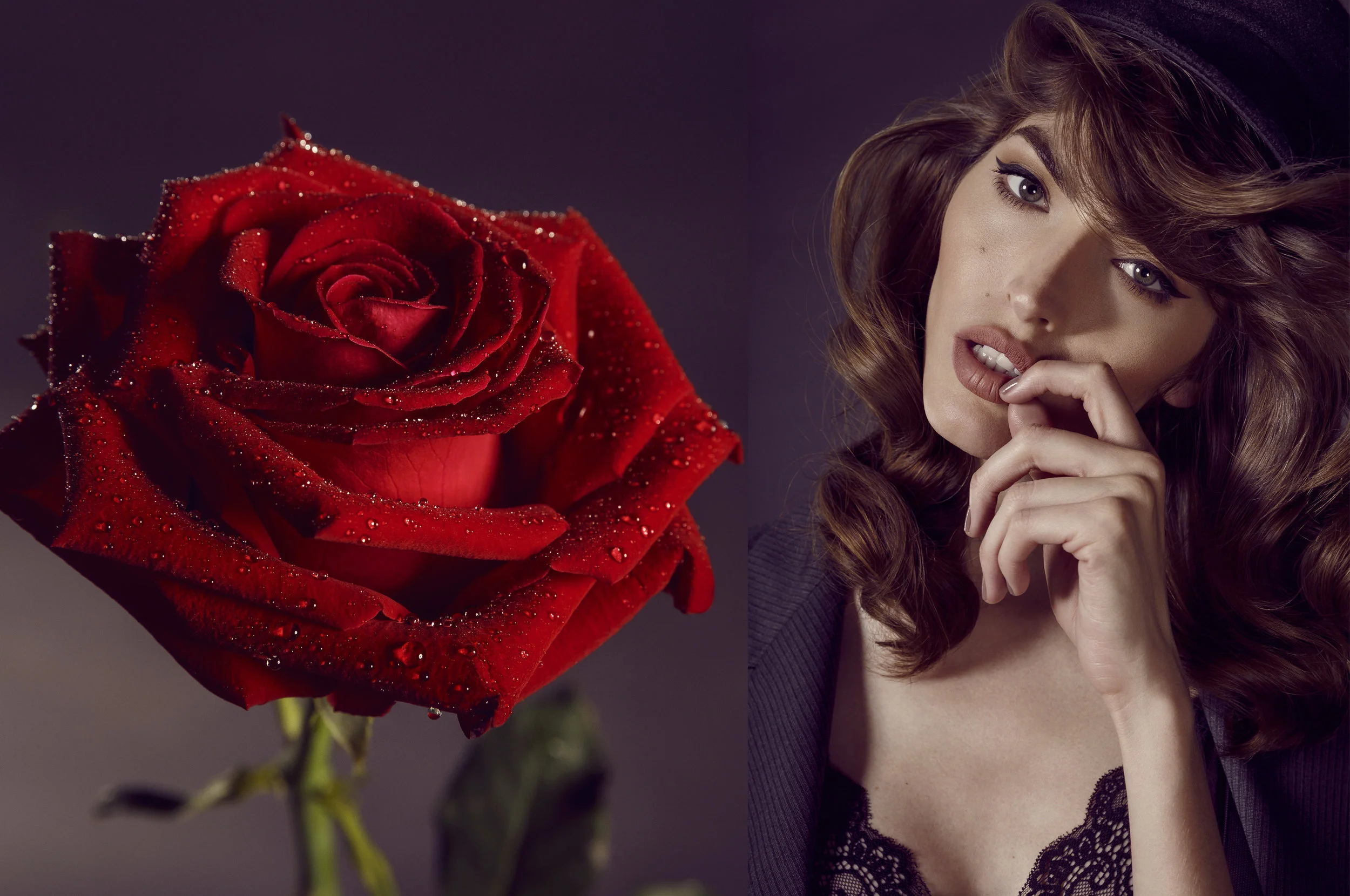 DARK ROSE