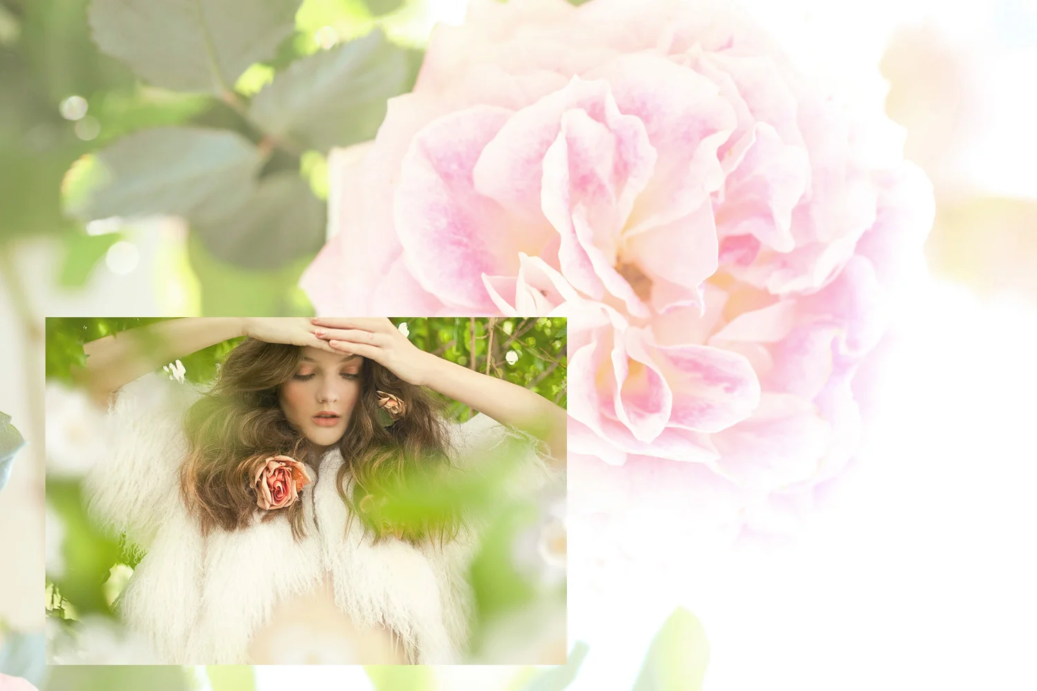 1 flowers copy.jpg