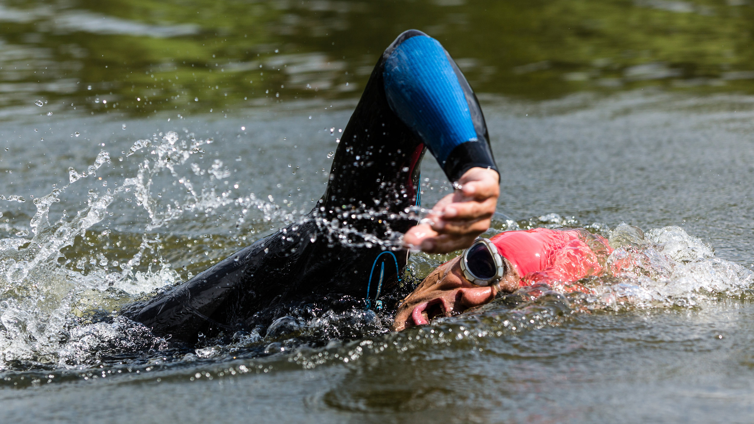 Swim 2.jpg