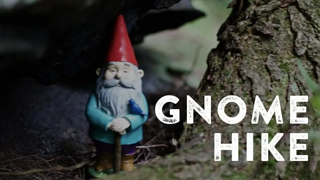 Gnome Adventure Hike &amp; Creek Explore
