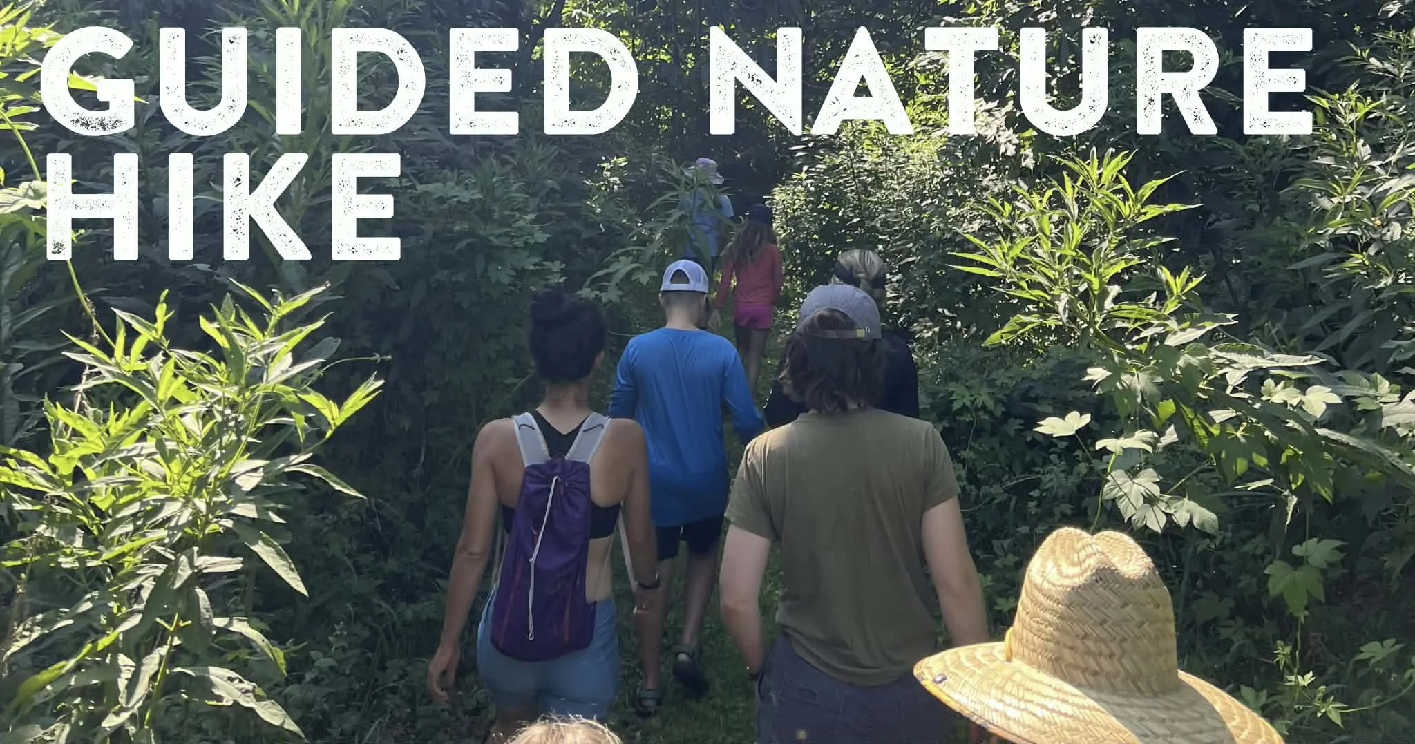 Guided Nature Hike With A Ranger - Ohio River Islands Wildlife Refuge