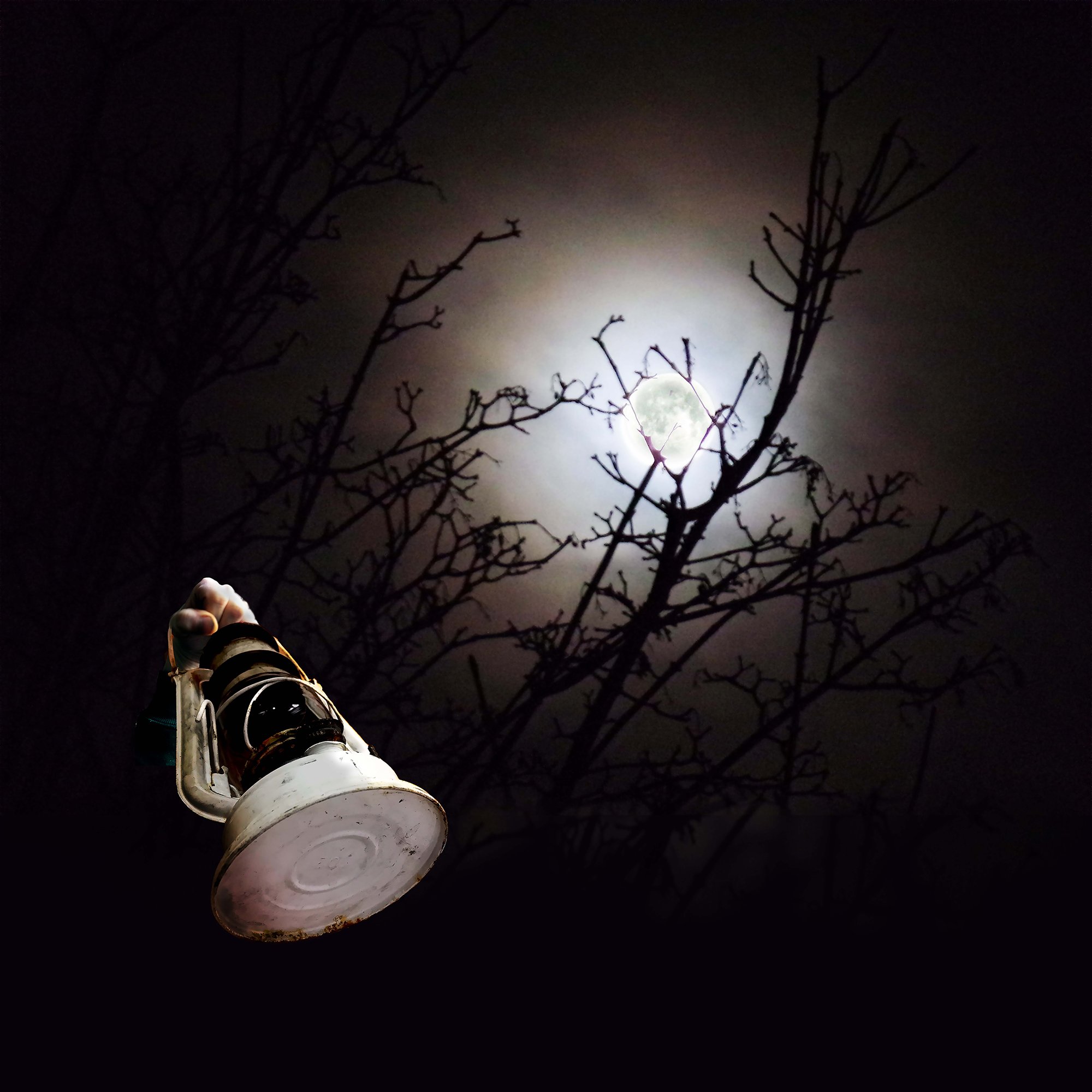 Michael Staford The Lamp and  The Moon copy.jpg