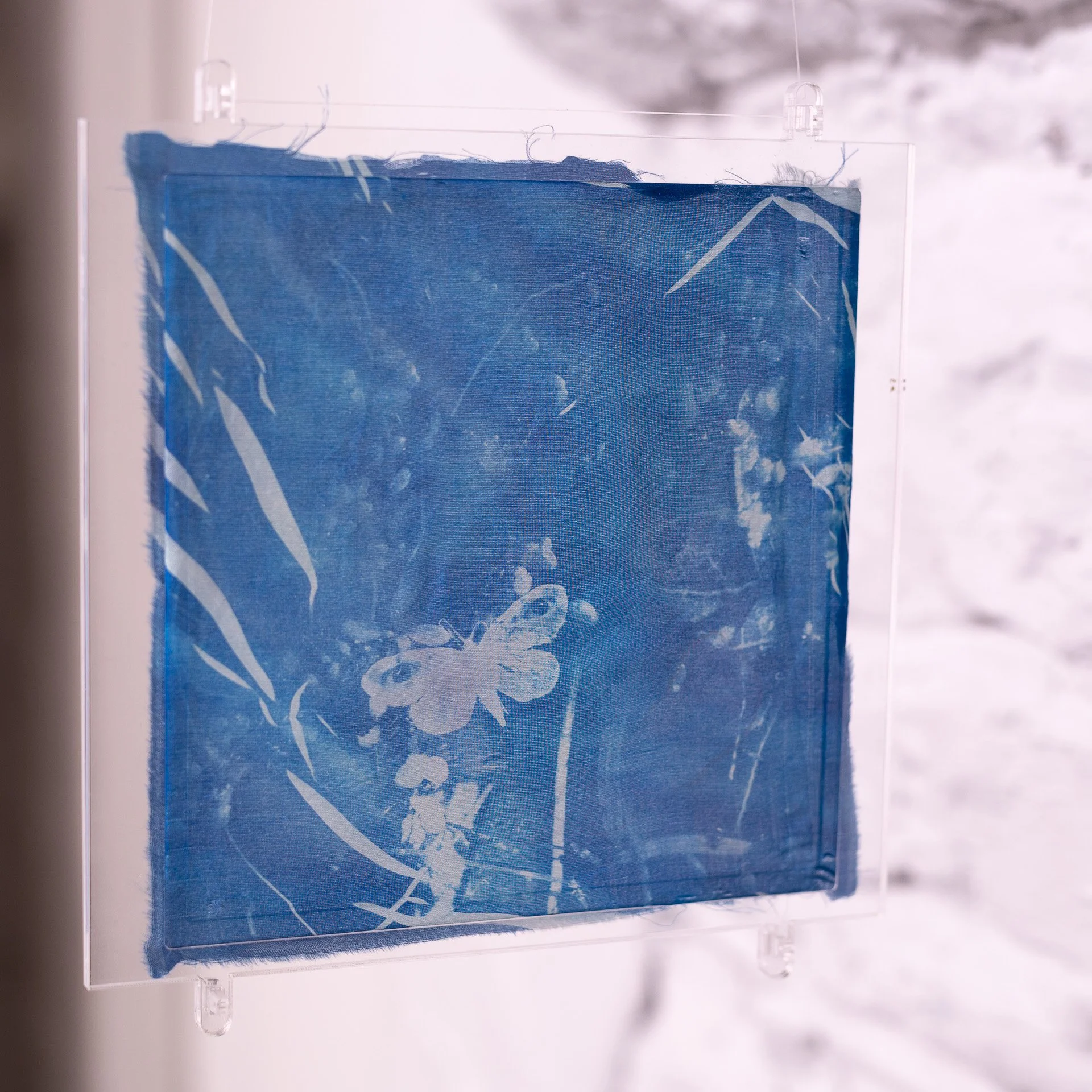 Cyanotype On Silk