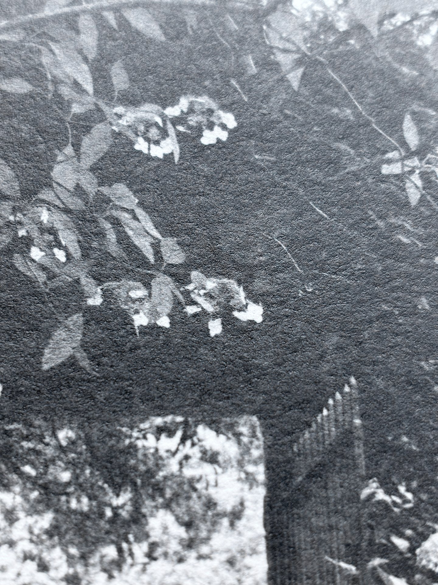 Julie Corcoran_Be Brave_ detail.jpg