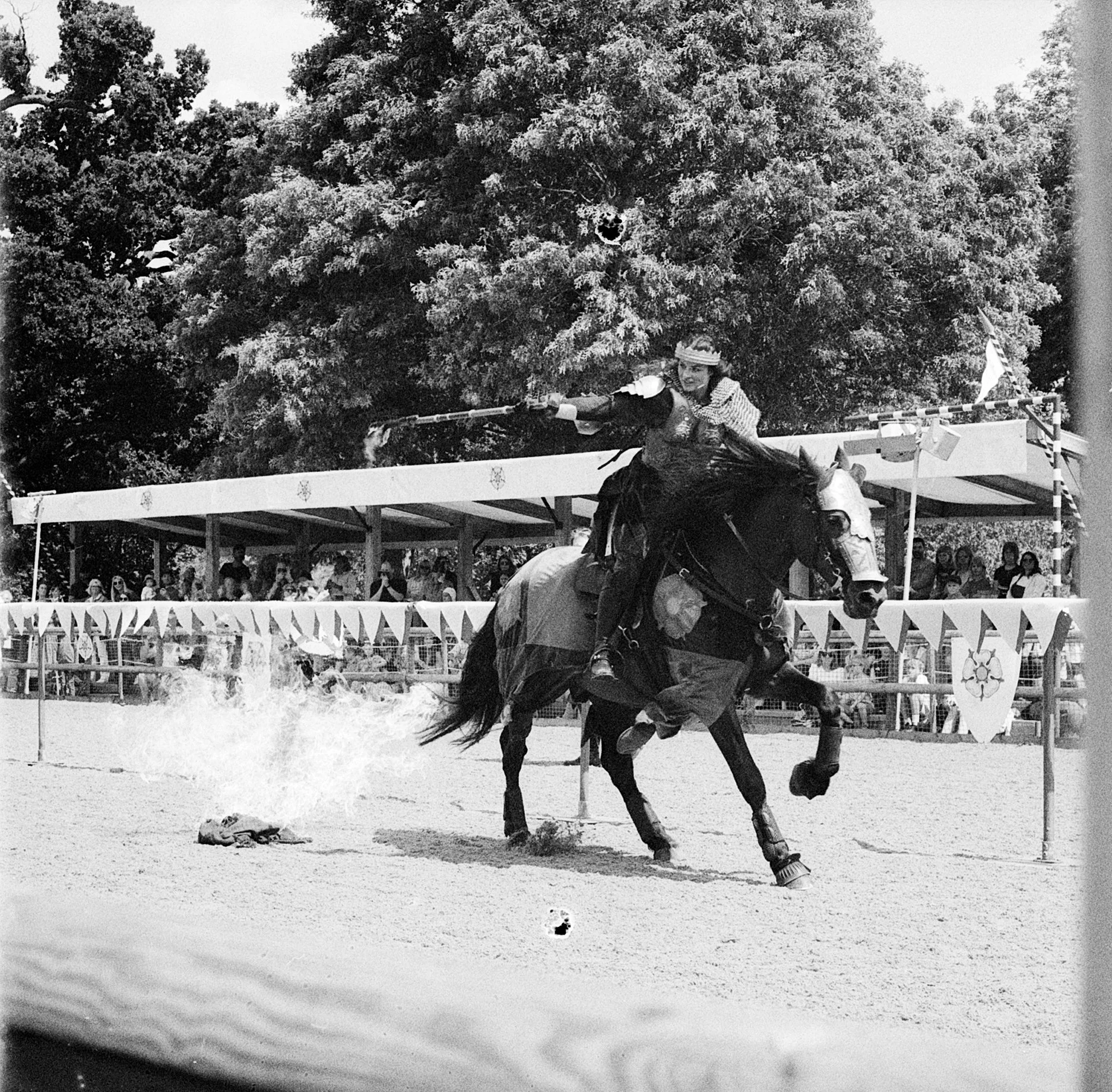 Julie Corcoran Woman Knight.jpg