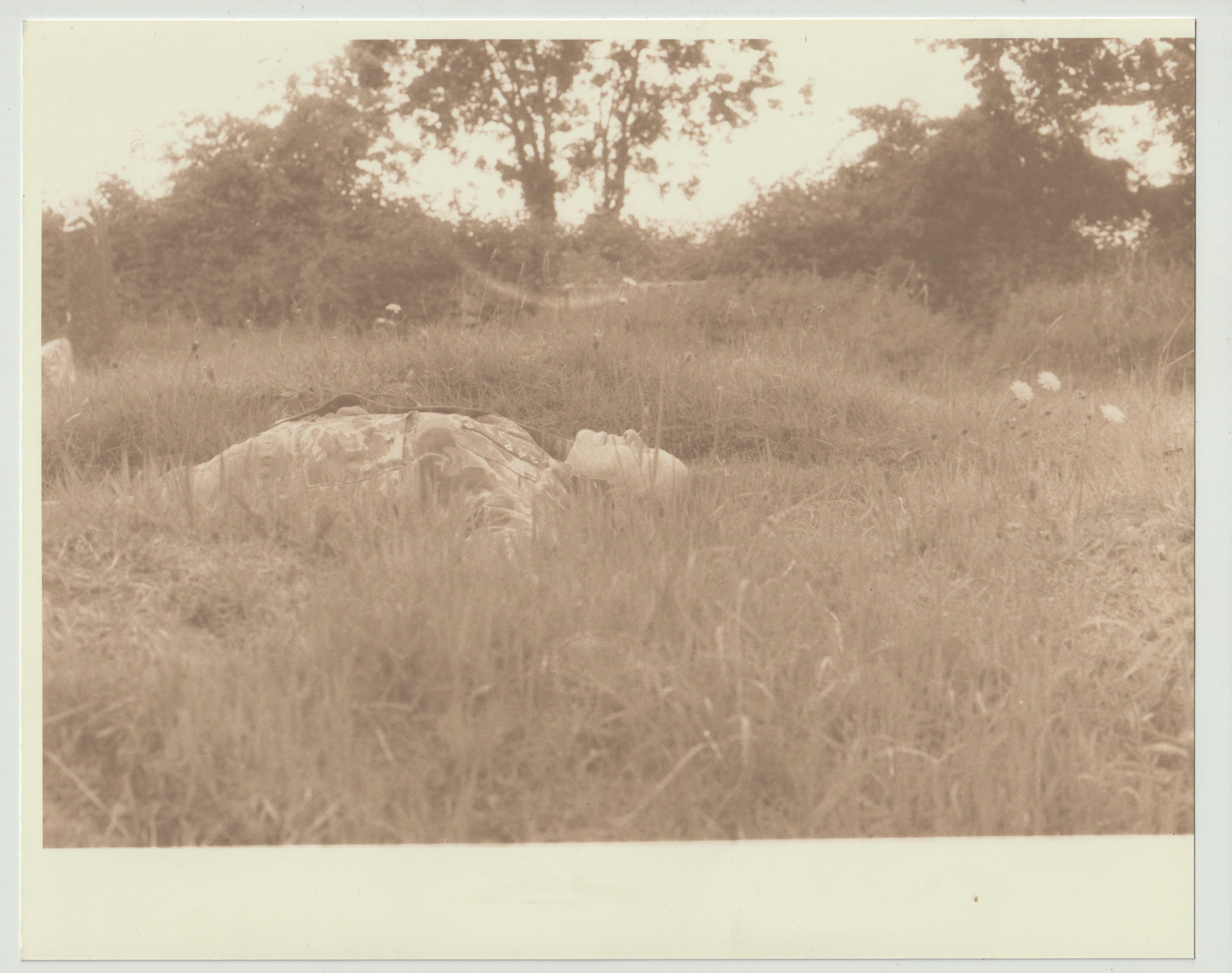 Rita Rosemary Developer