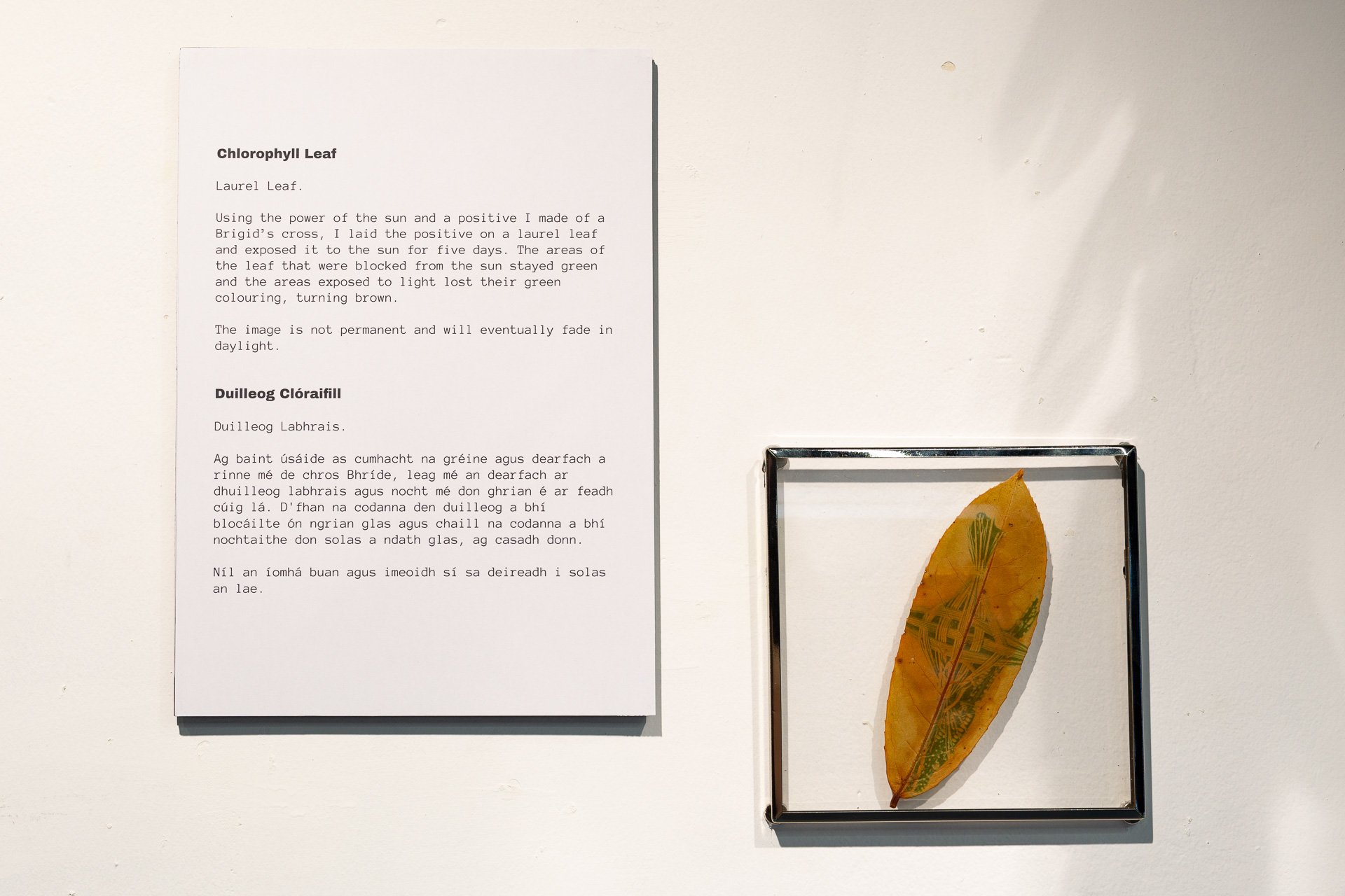 Julie Corcoran It Matters-11.jpg