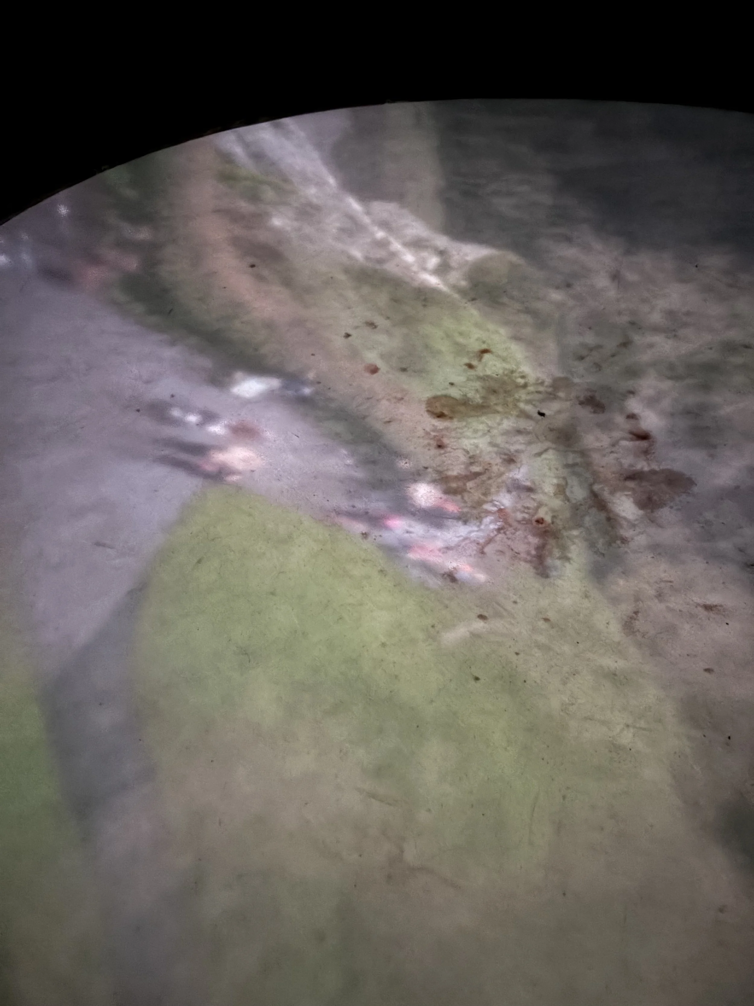 Clifton Camera Obscura