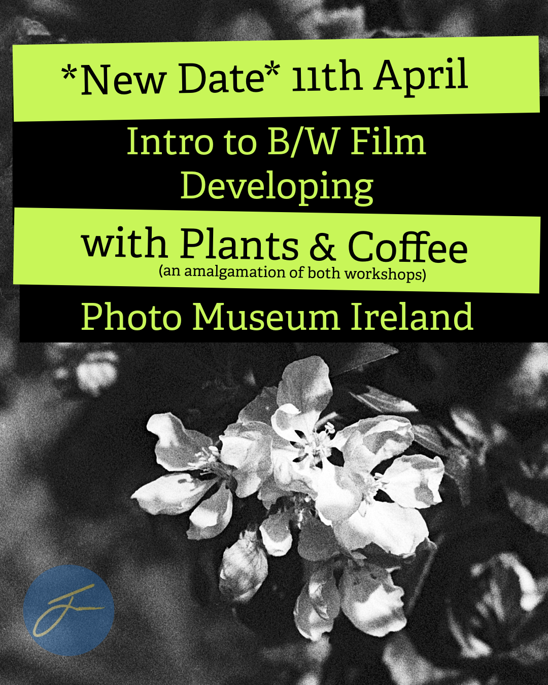*New Date* Intro to Film Developing Workshop with Plants &amp; Coffee