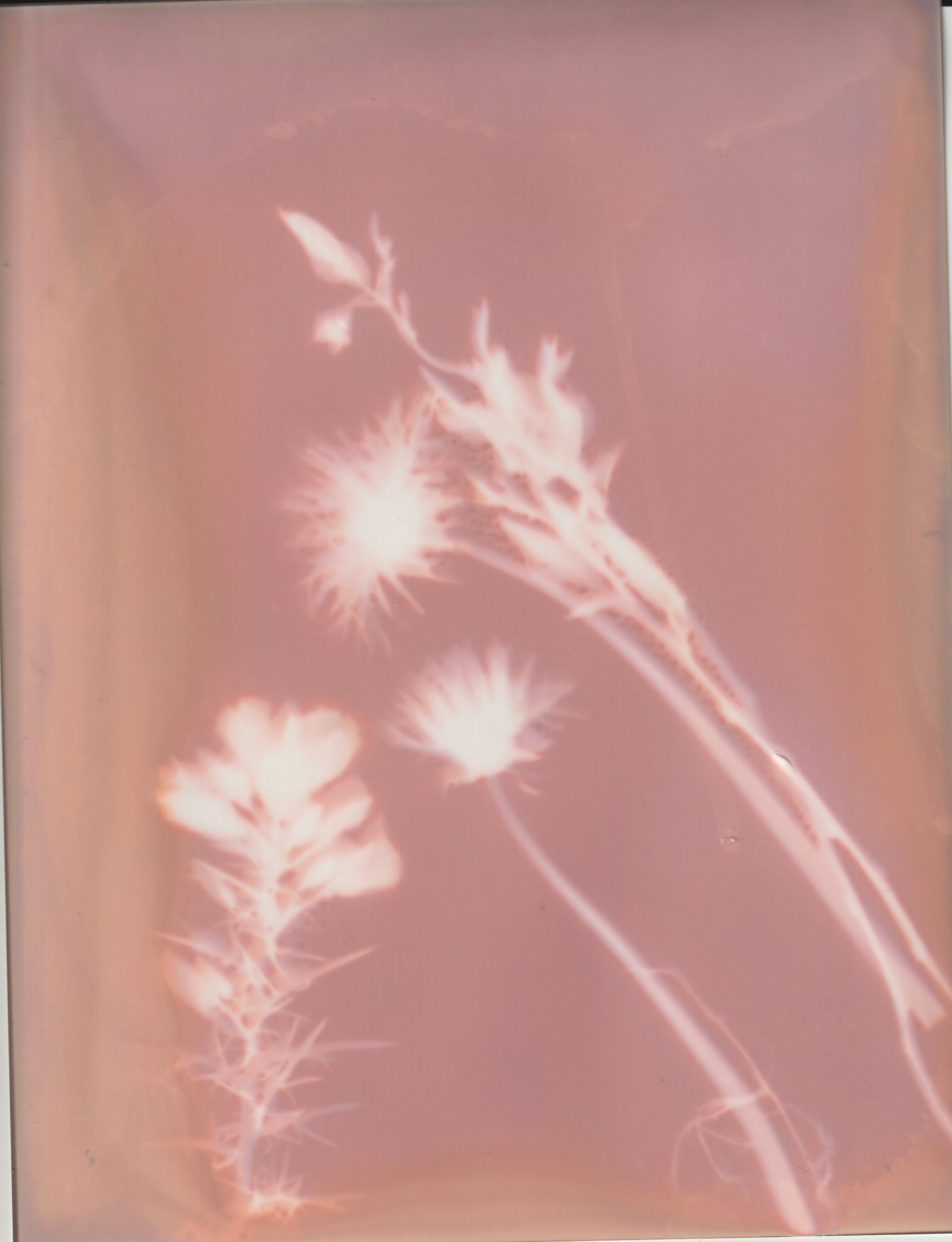 Julie Corcoran Lough an Leagh Lumin 2.png