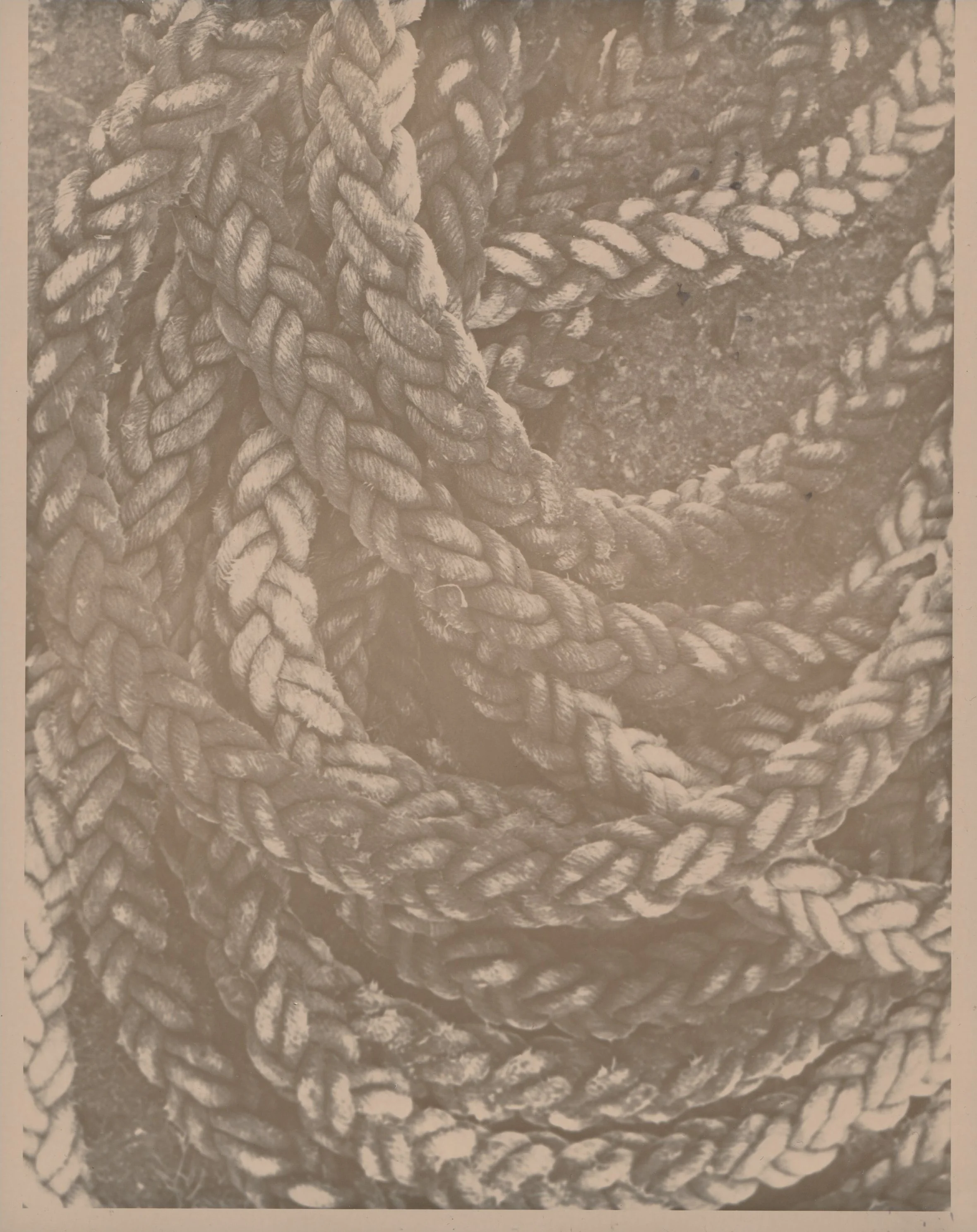 Julie Corcoran Oat Rope Print1.jpeg