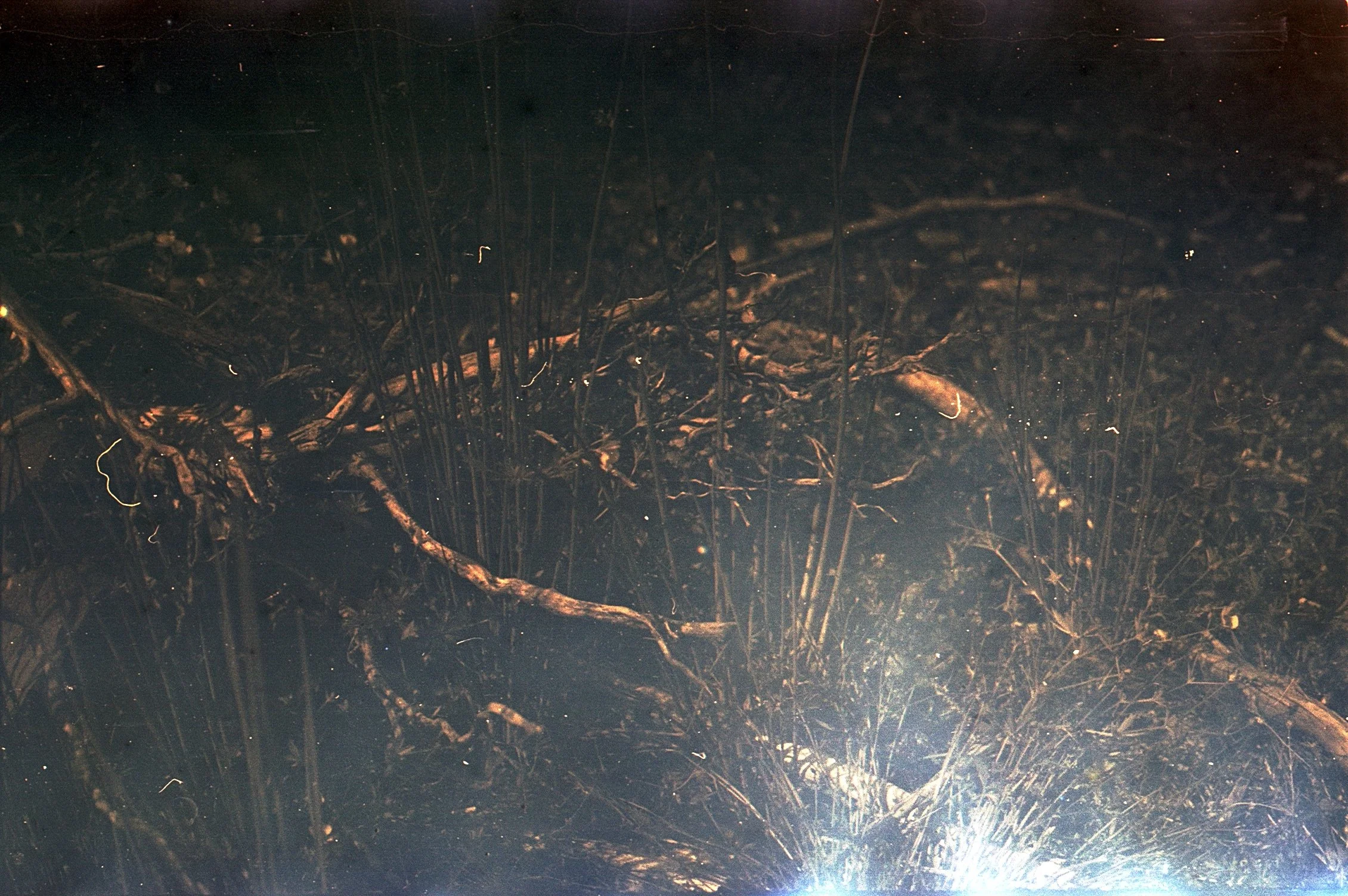 Image 6.jpg