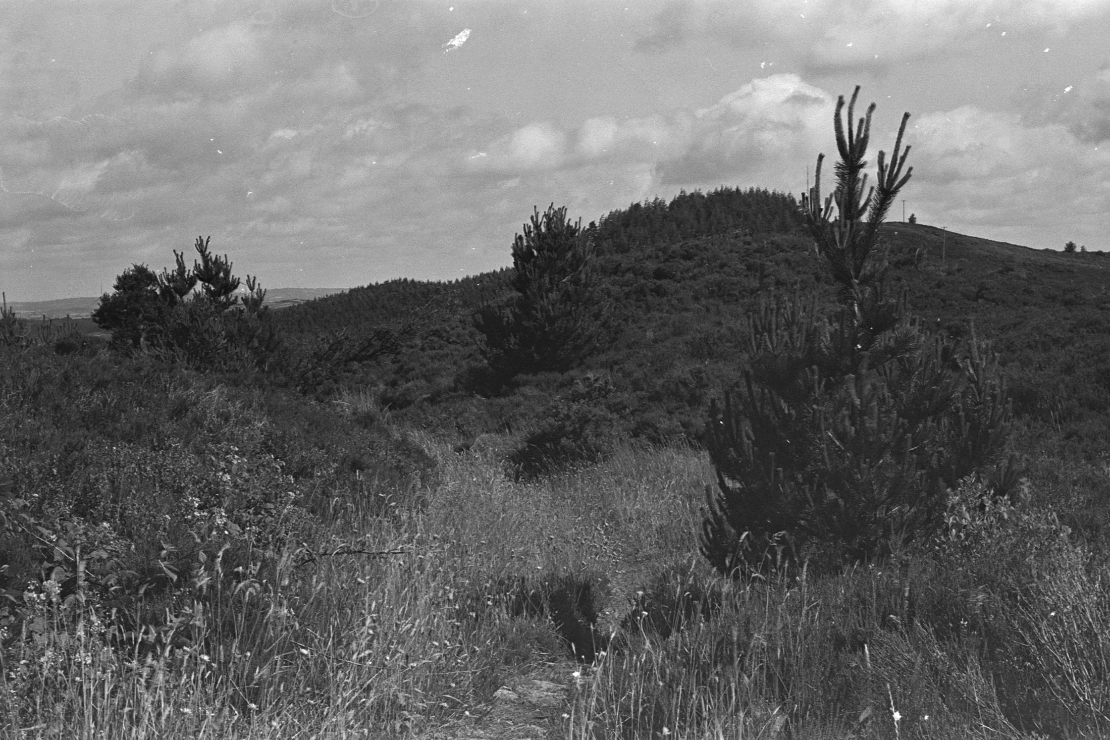 Image 5 (2) copy.jpg