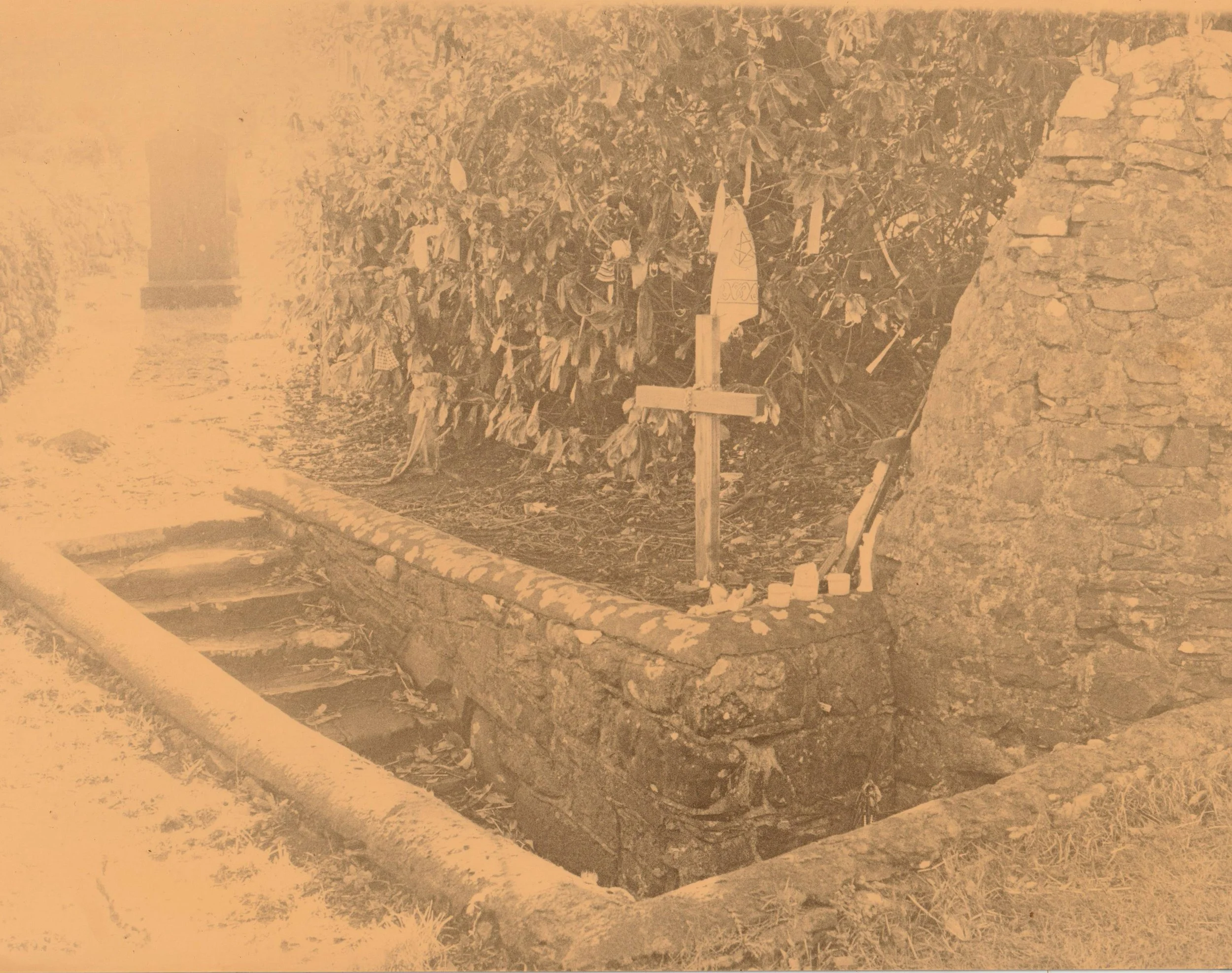 11th April - Book Lumen & Intro to Developing Film with Caffenol with Photo Museum Ireland