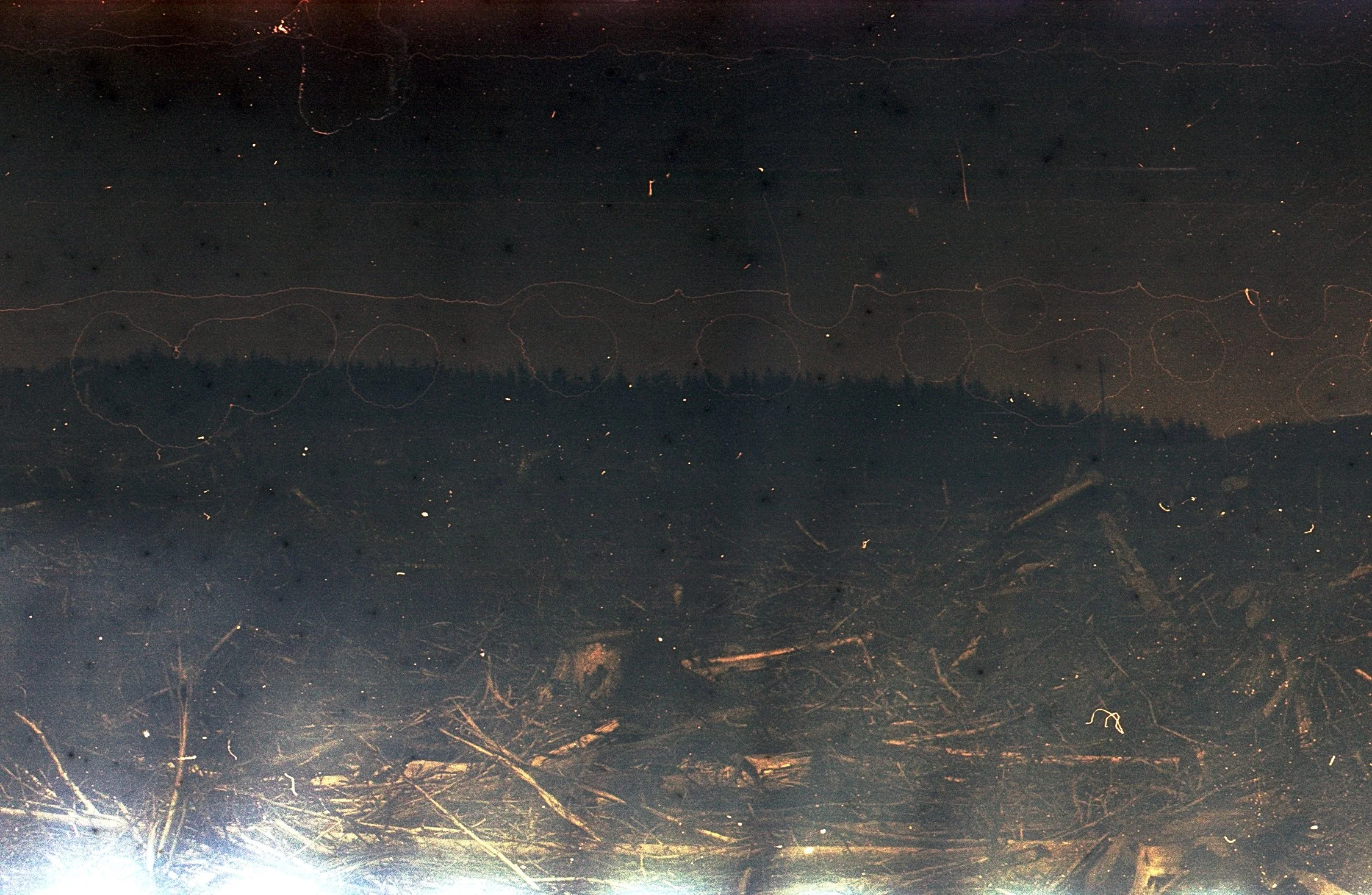 Image 1 (2).jpg