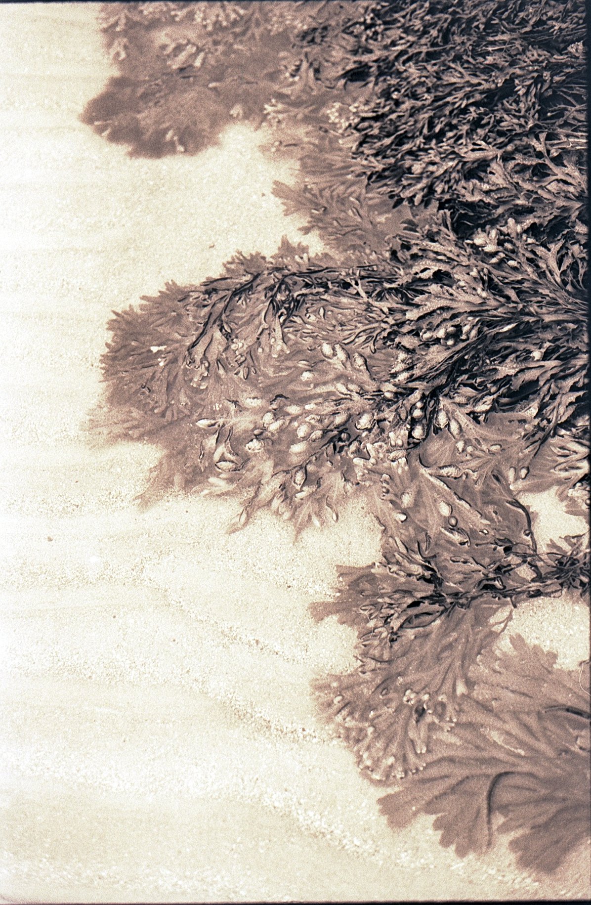 Image 2 (2).jpg