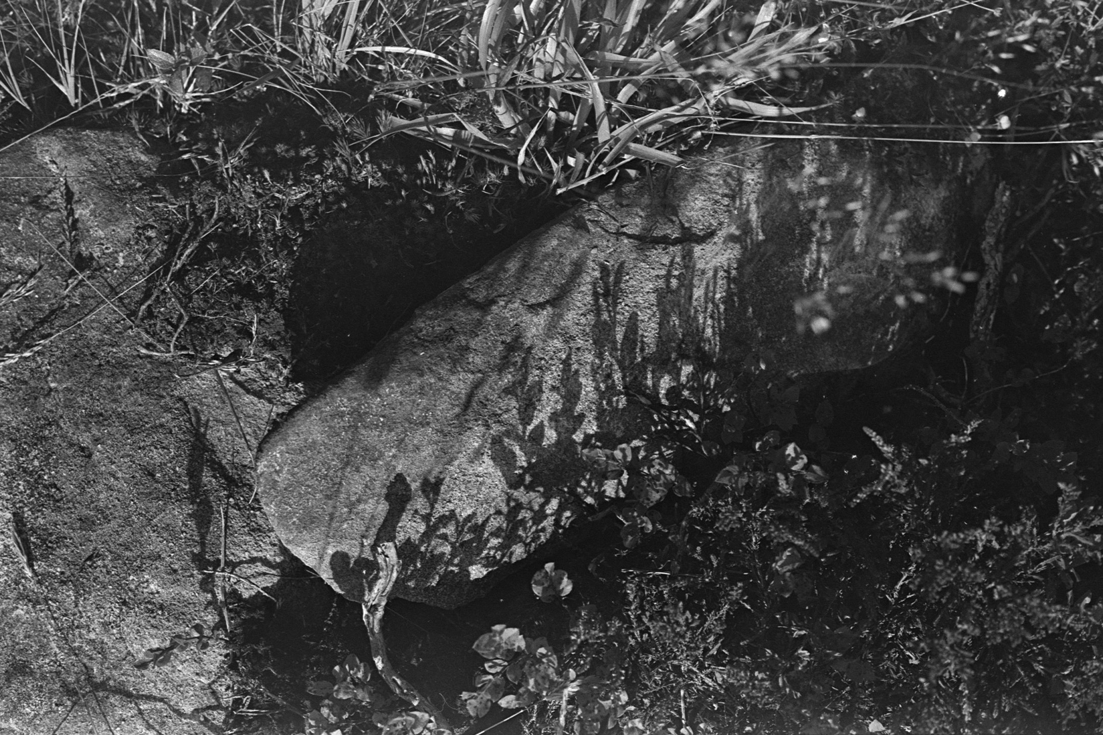 Image 9 (2) copy.jpg