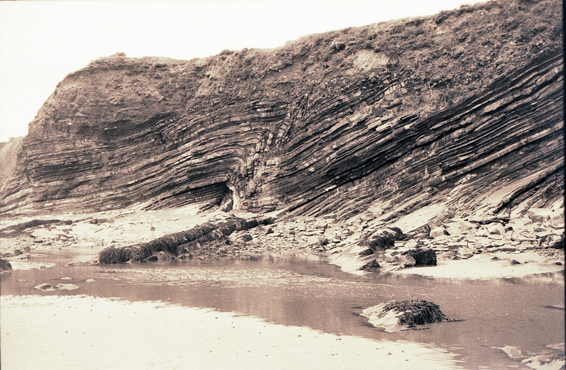 Image 1 (2).jpg