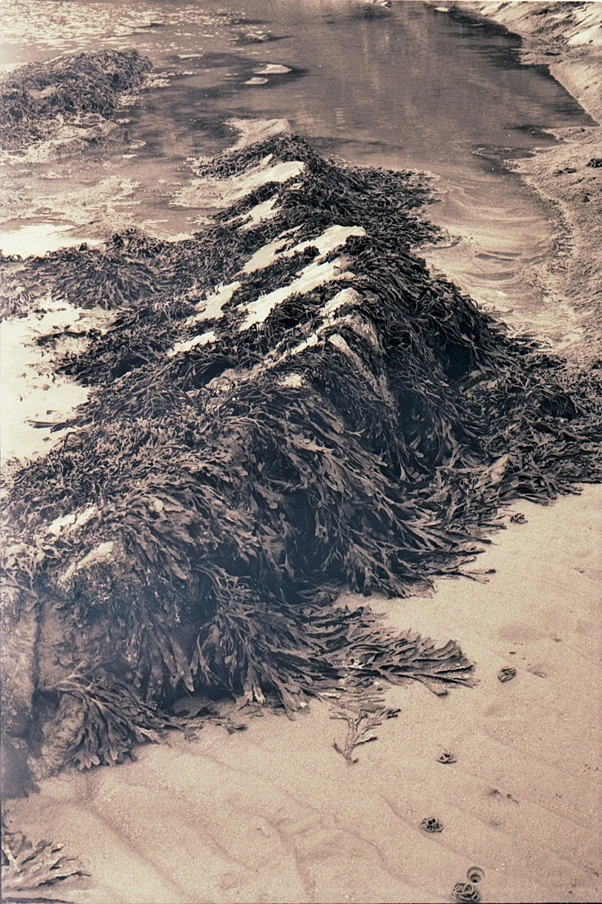 Image 1.jpg