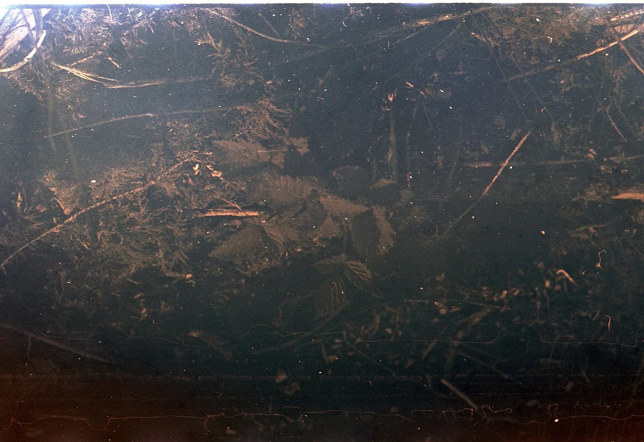 Image 1.jpg