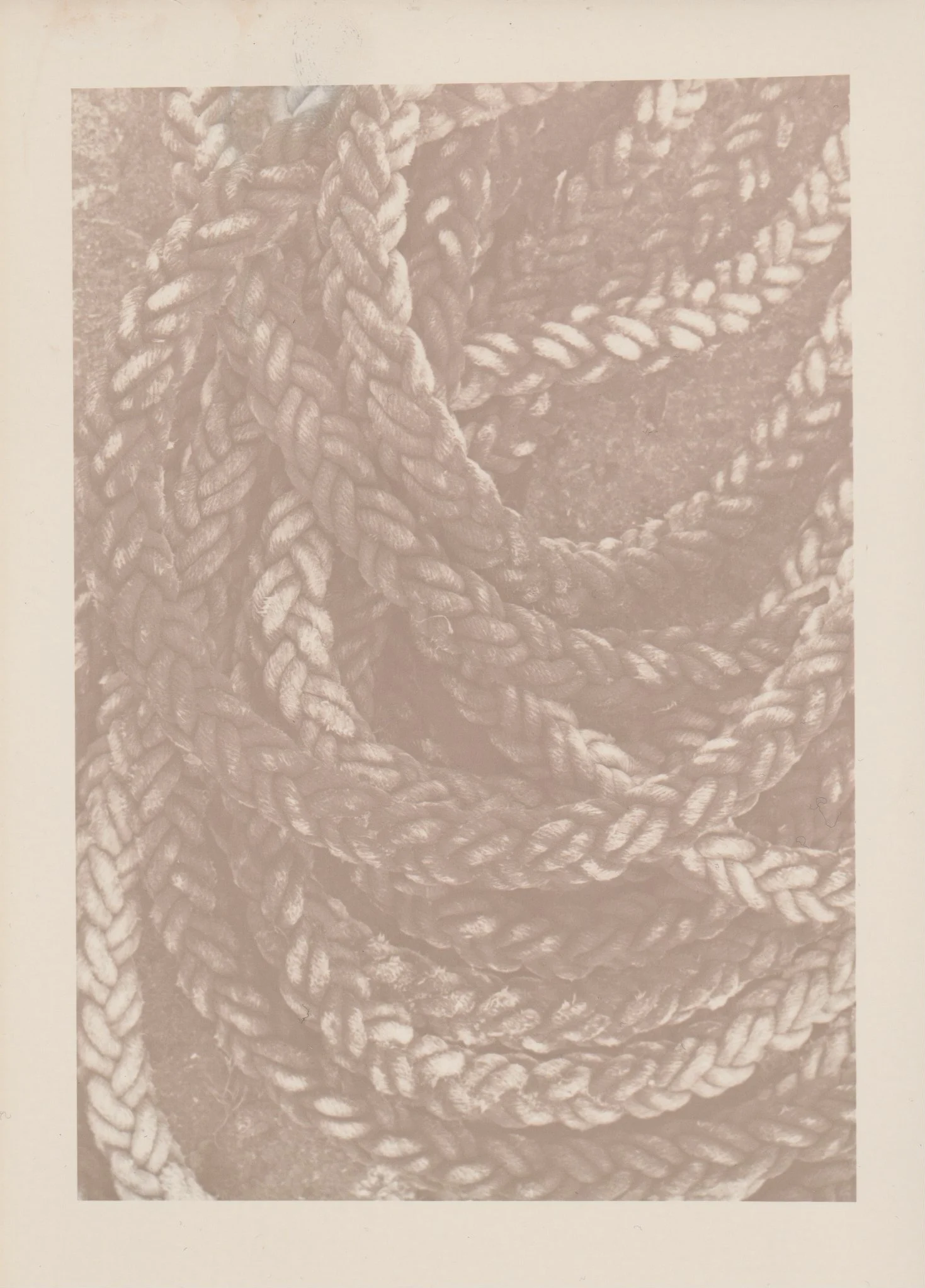 Rope. Silver Gelatin print developed with Oat Water.