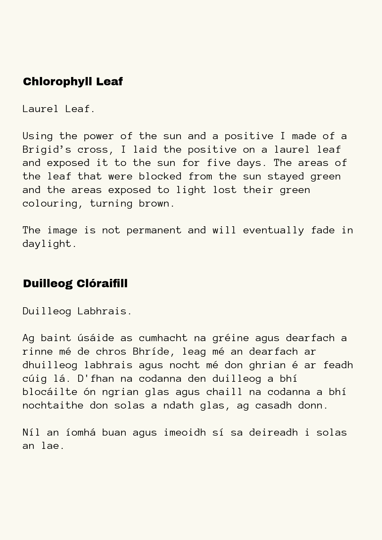 Text explaining the process of creating a chlorophyll leaf and the natural transformation of a Laurel leaf under sunlight, along with a second paragraph in Irish about a traditional dish.