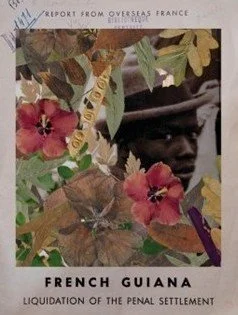 Ginko_Fig 6a.jpg