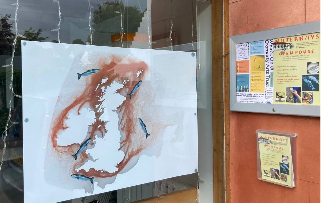 The Waterways Collective: Multidisciplinary mapping of Atlantic salmon migration