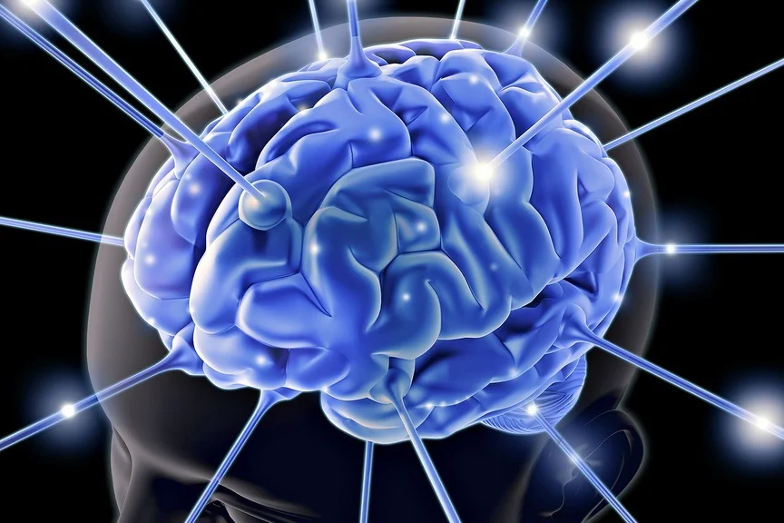 Brain.jpg