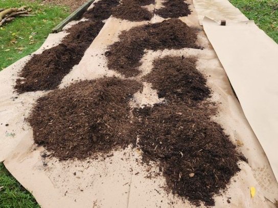 Paper + Mulch Site Prep