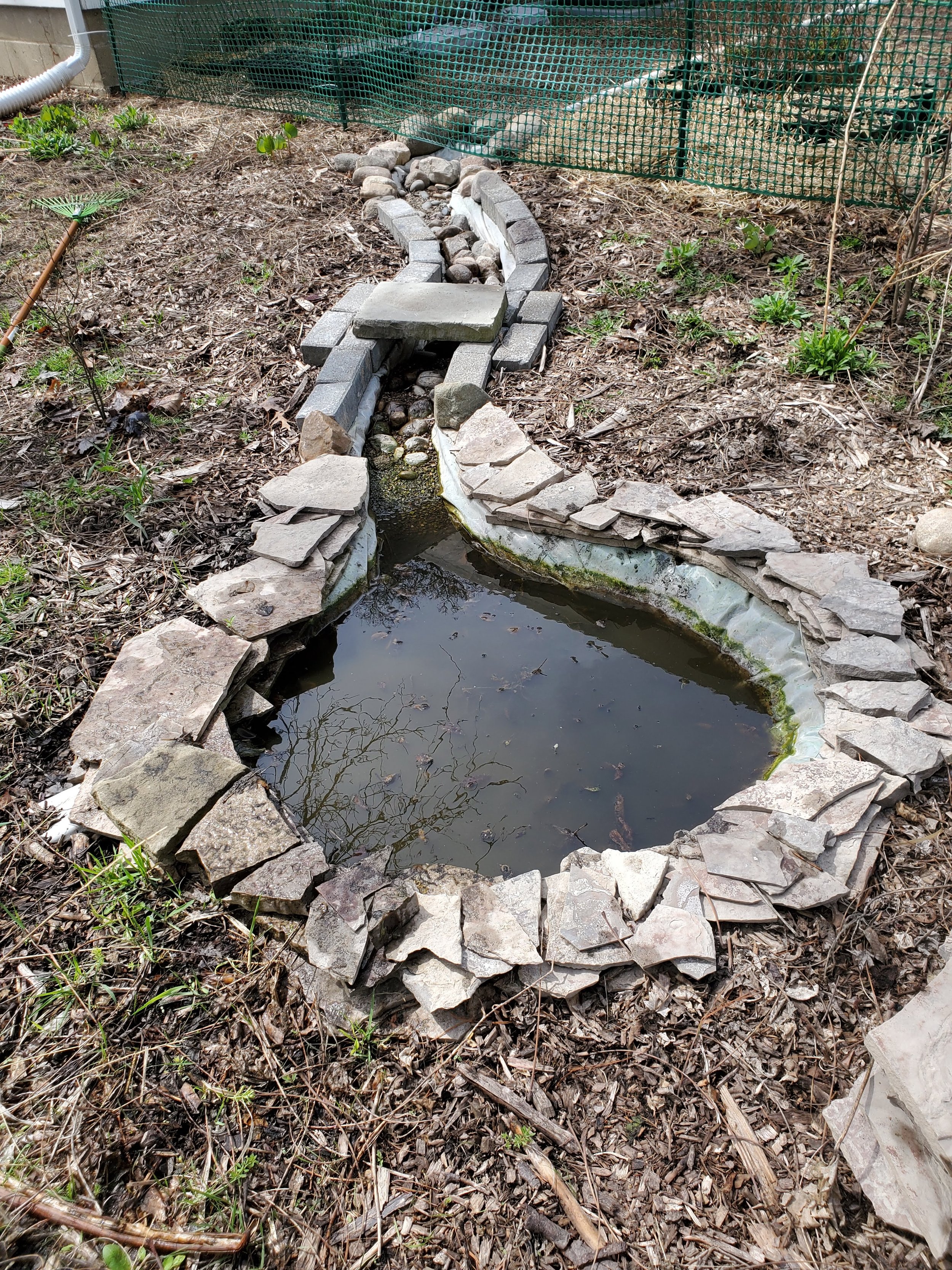 Sump pump catchment