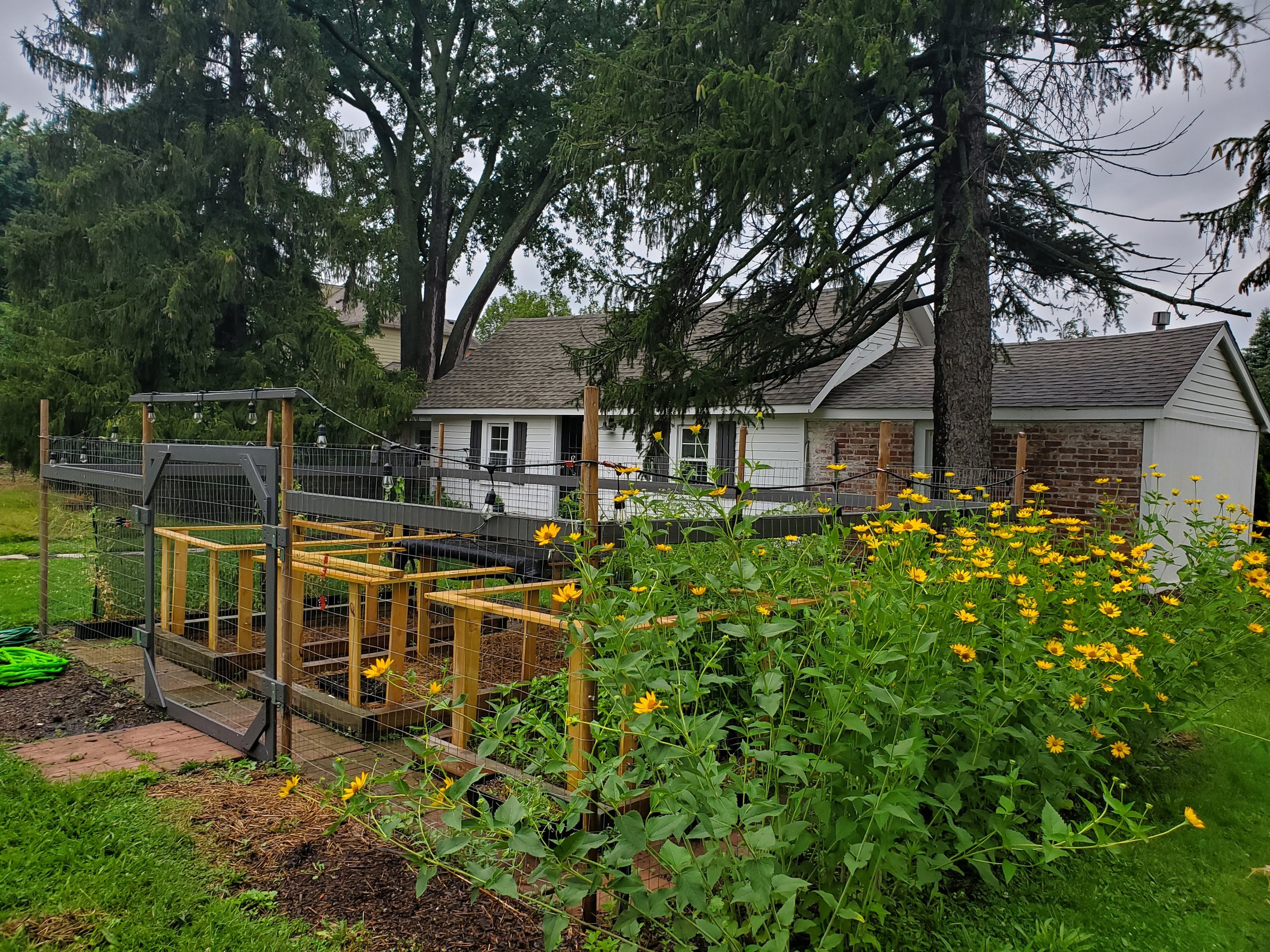 Garden enclosure planted with natives