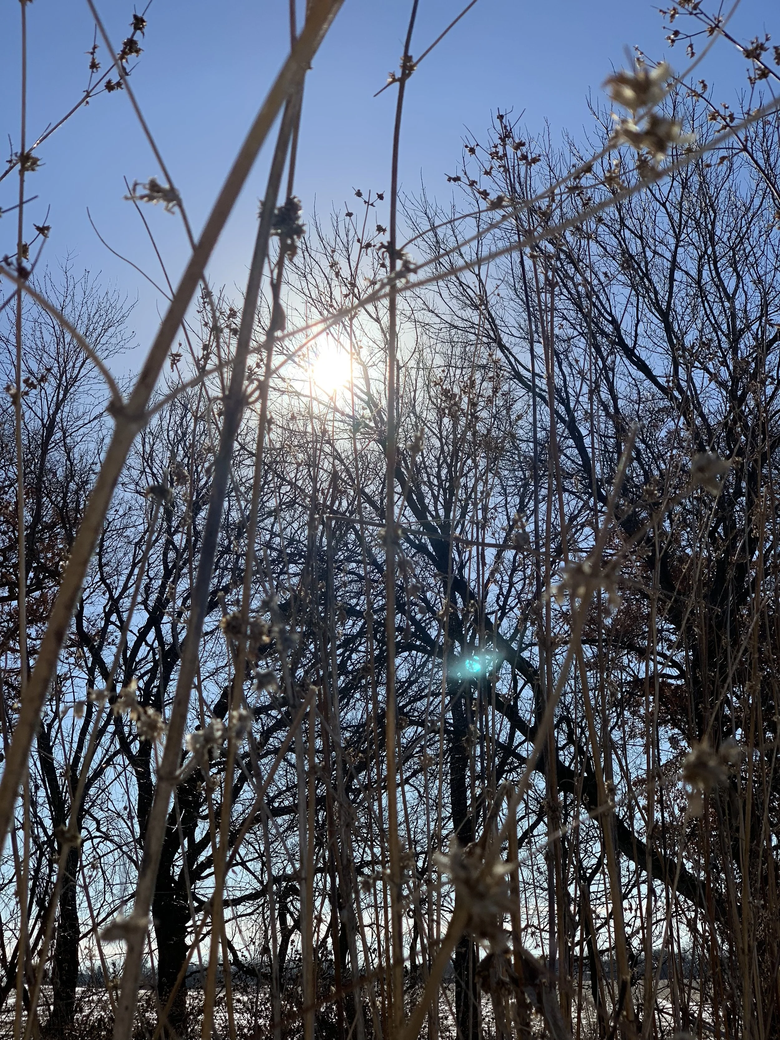 IMG_0445.jpeg