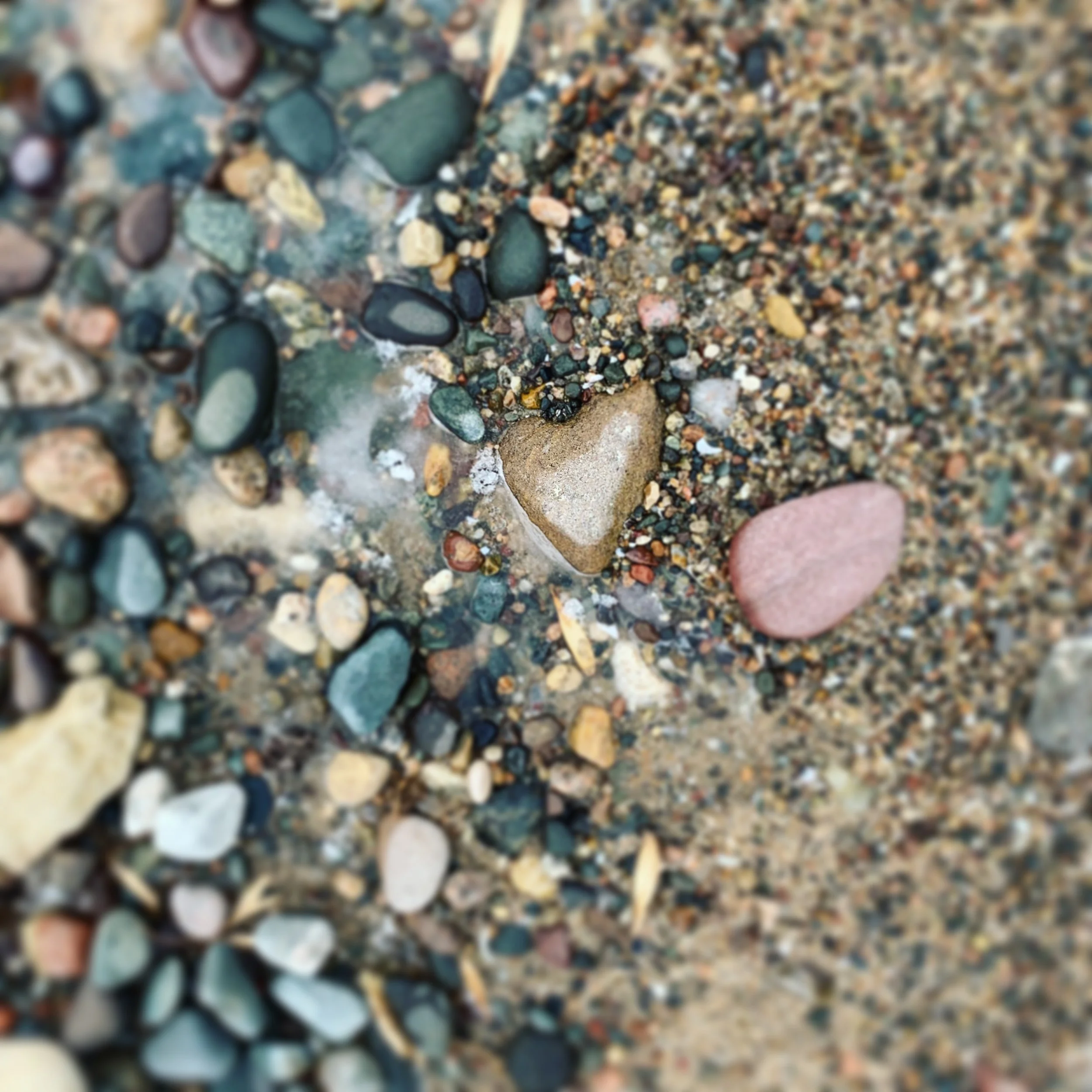 IMG_0516.jpeg