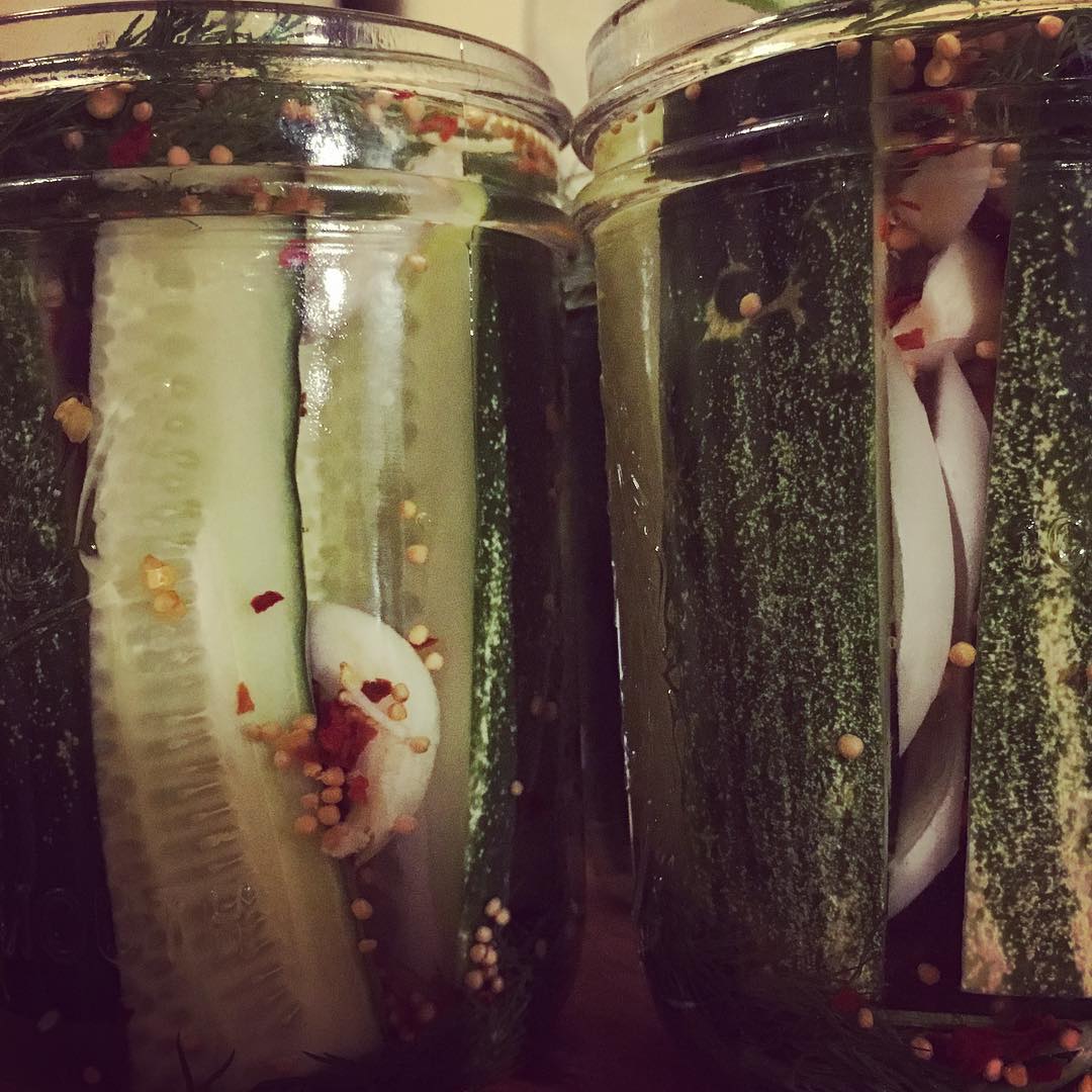 pickles2.jpg