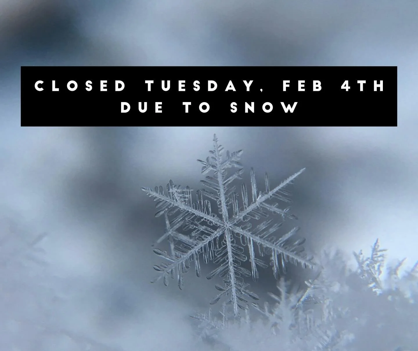 We are closed today. Too much snow. ❄️