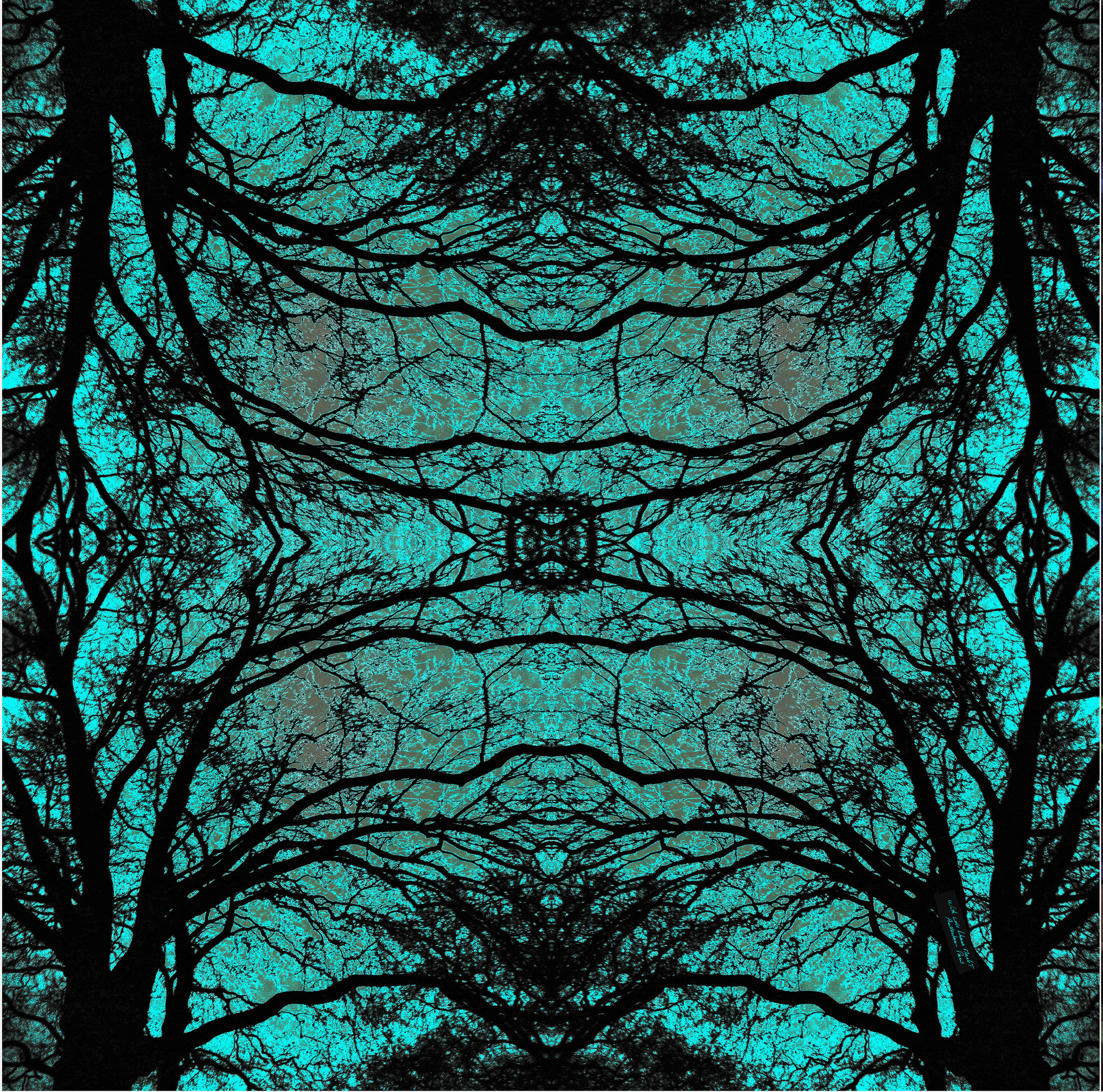 bleu forest 45 .jpg