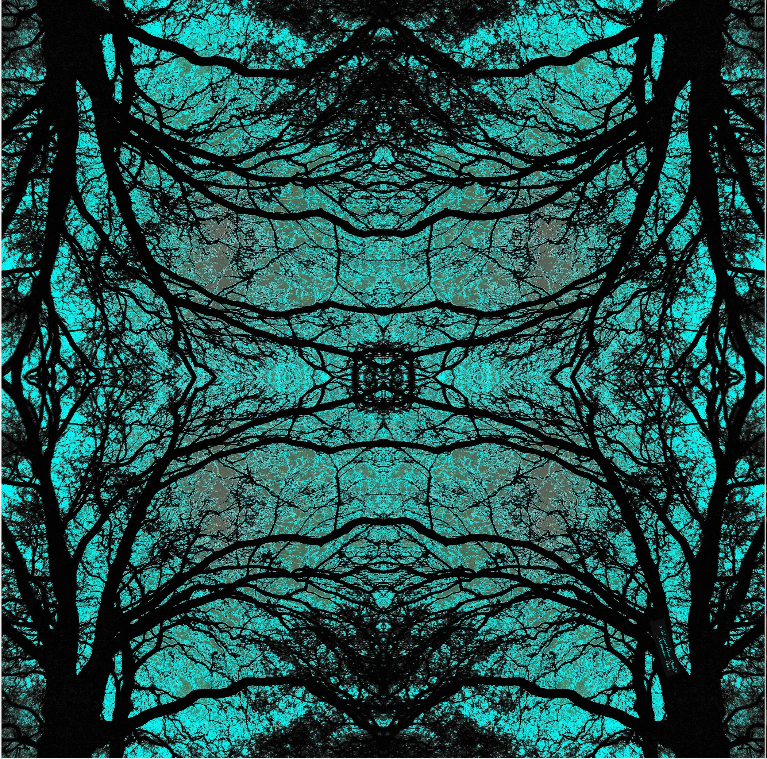 bleu forest 45 .jpg
