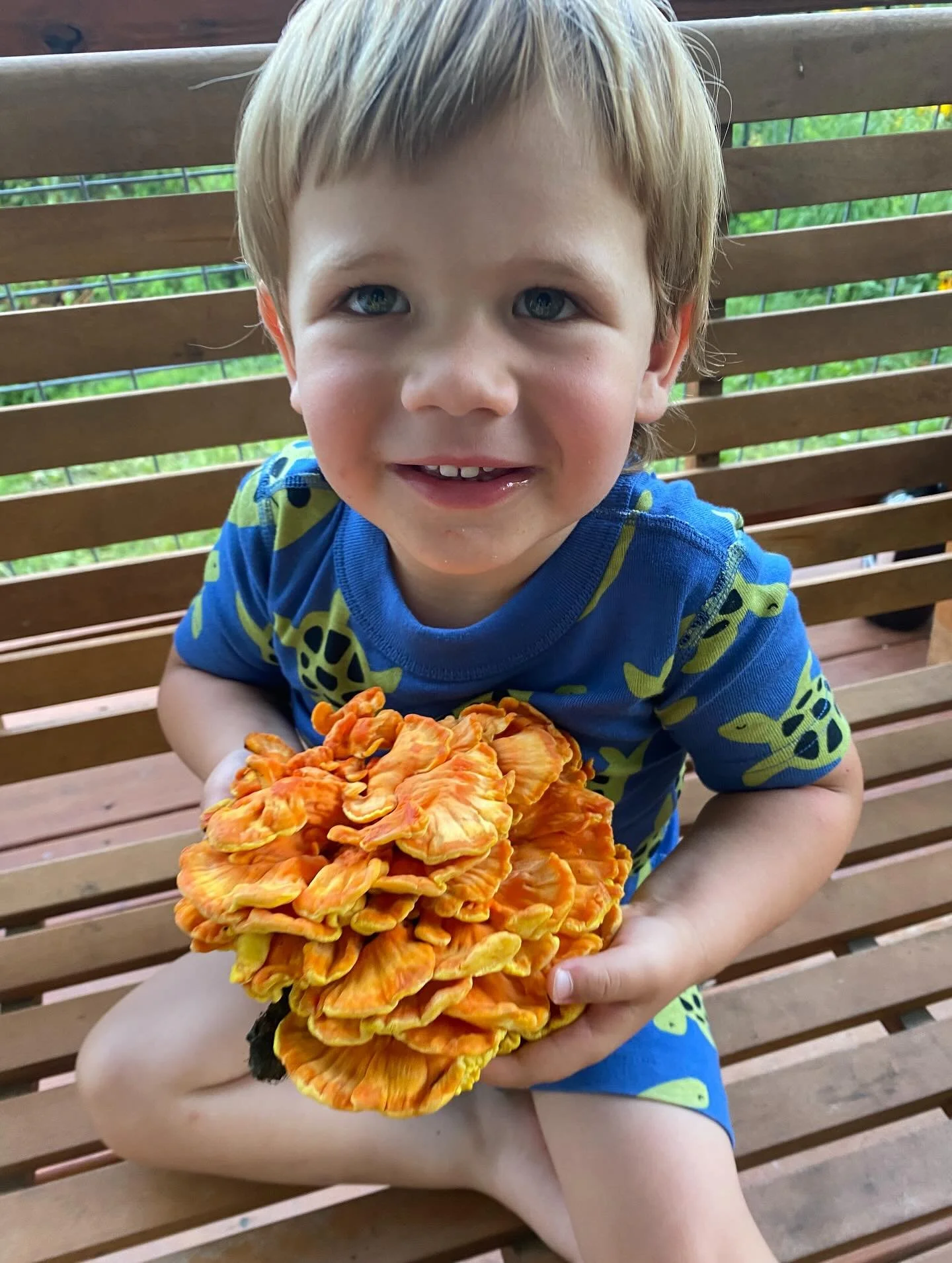 Small bits of joy in July
