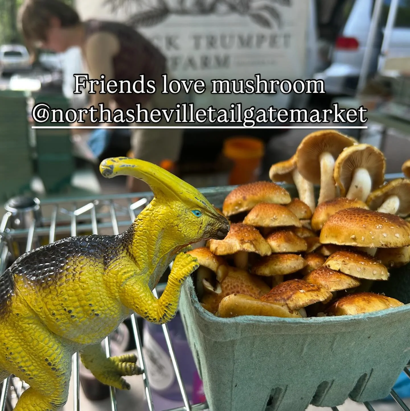 The market is popping today