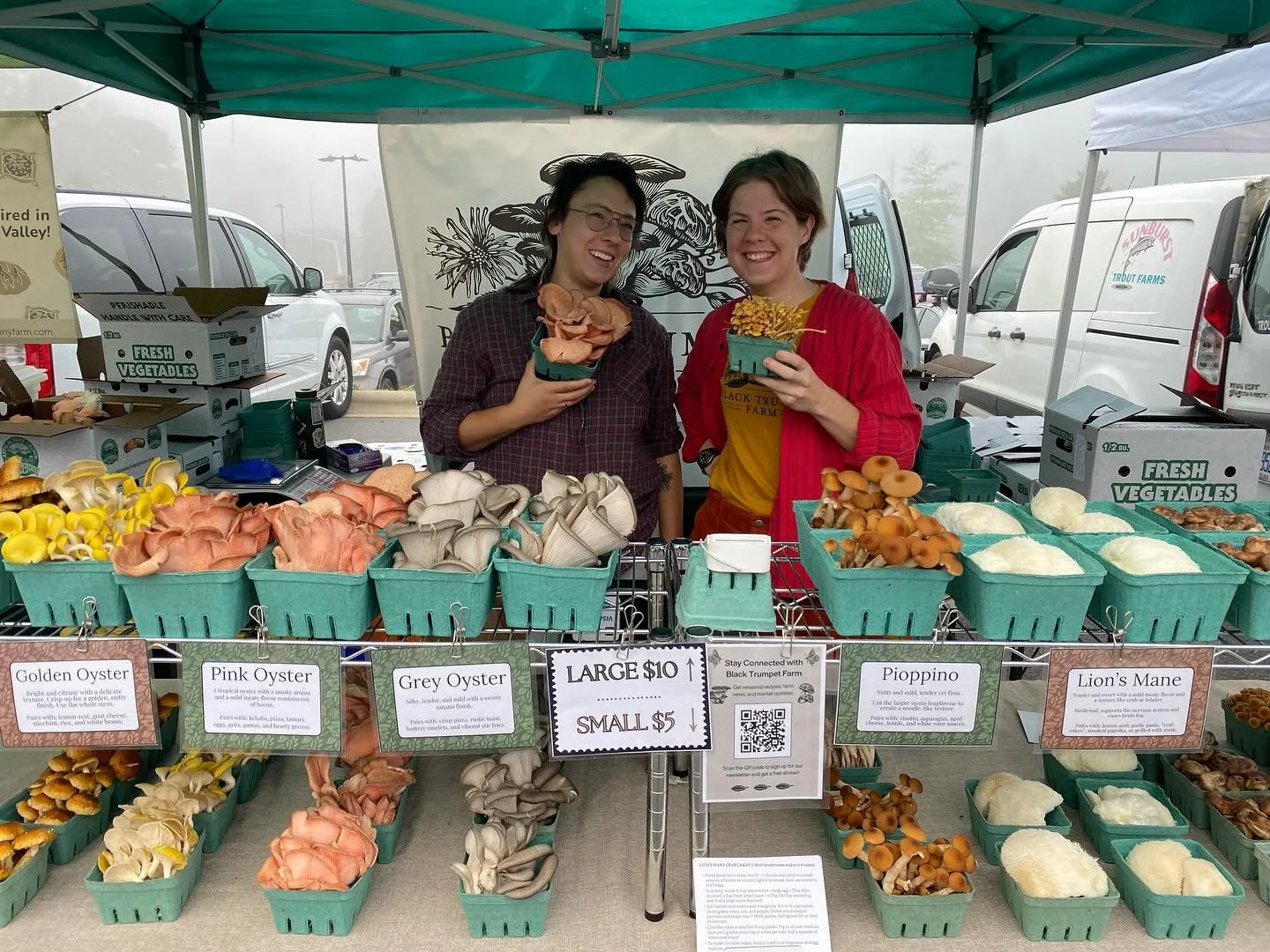 It&rsquo;s a foggy fall morning! Come get your mush @northashevilletailgatemarket from 8:00-12:00 today.

#localfood #farmersmarket #ashevillenc #mushroomfarm