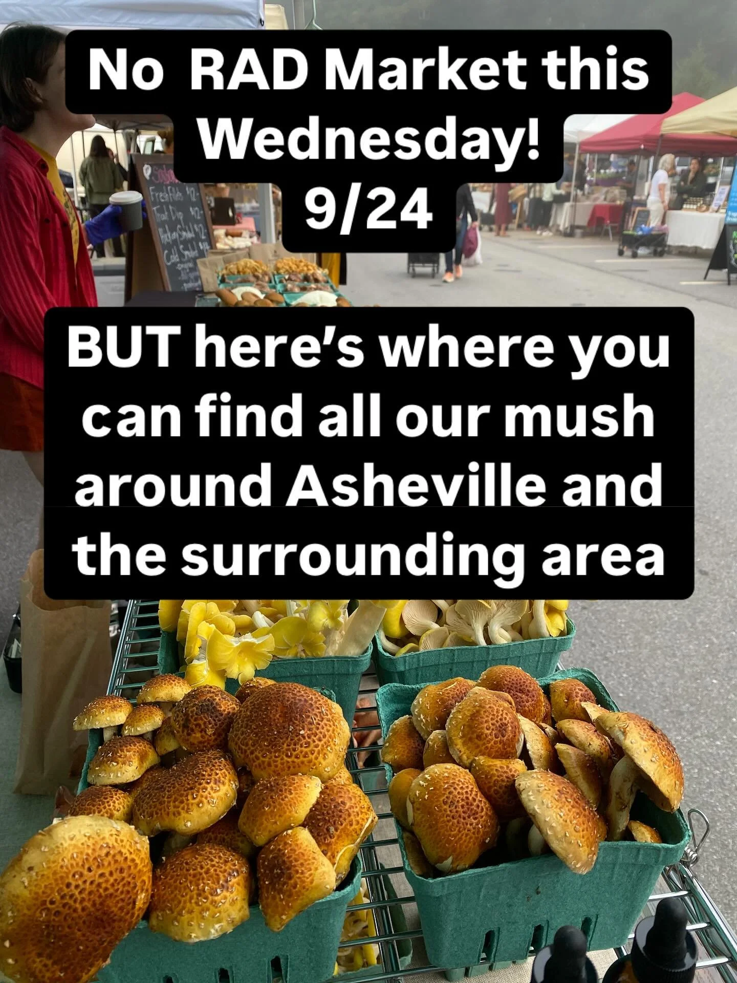 No @radfarmersmarket THIS WEDNESDAY 9/24
But as always, please support the phenomenal businesses that support us!
In no particular order:
@burialsouthslope 
@redfiddlevittles @quenchavl @talljohns @jettieraes @mother.earth.food @goldenhouravl @appala