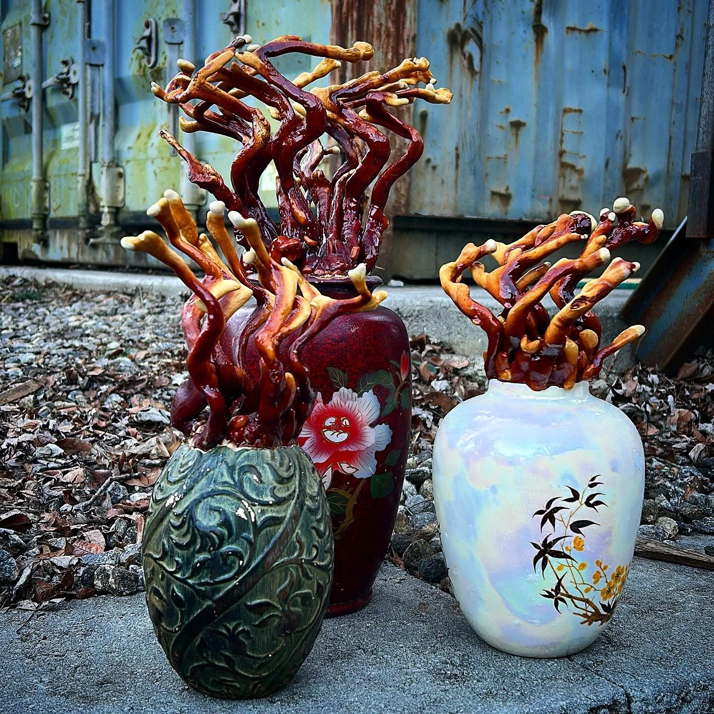 Need a last minute gift (for yourself?)
Come snag one of these reishi vases at @northashevilletailgatemarket today!

It's our last farmers market of 2025 but don't worry if you can't make it, we'll be back January 10th. 

And as always you can stock 