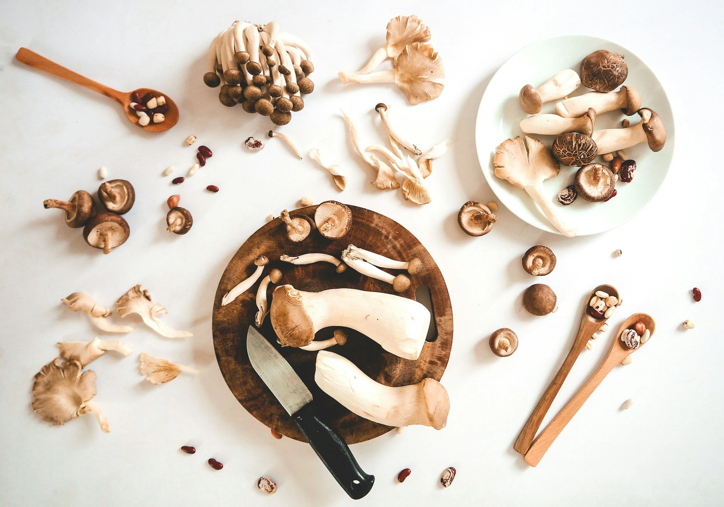 Our Favorite Recipes