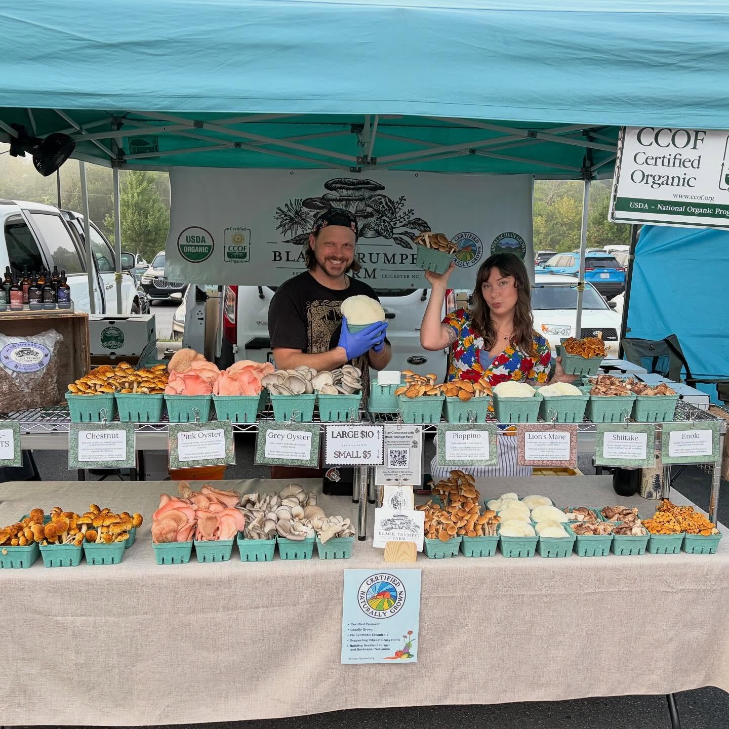 Get your holiday weekend started off right, come hangout with us @northashevilletailgatemarket from 8-12 today! The mush are poppin 😻